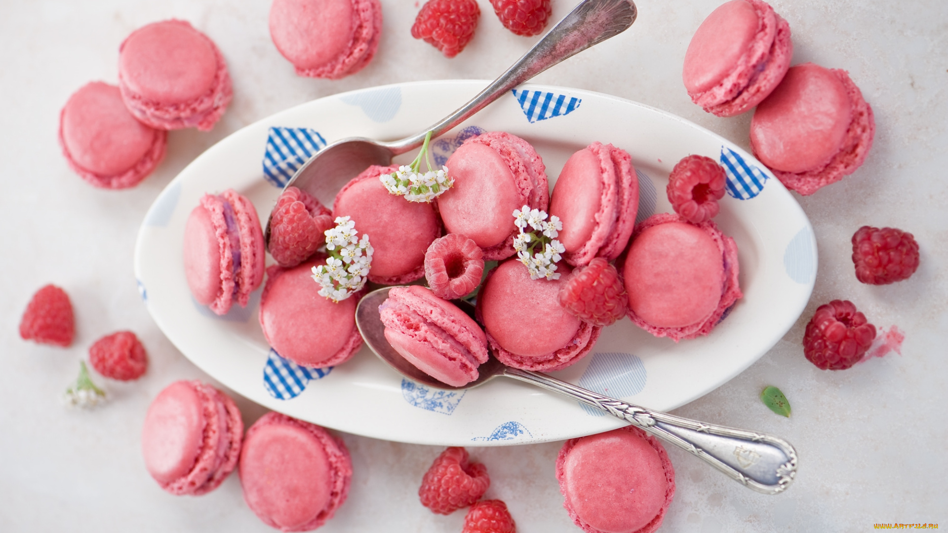 еда, пирожные, кексы, печенье, малина, цветы