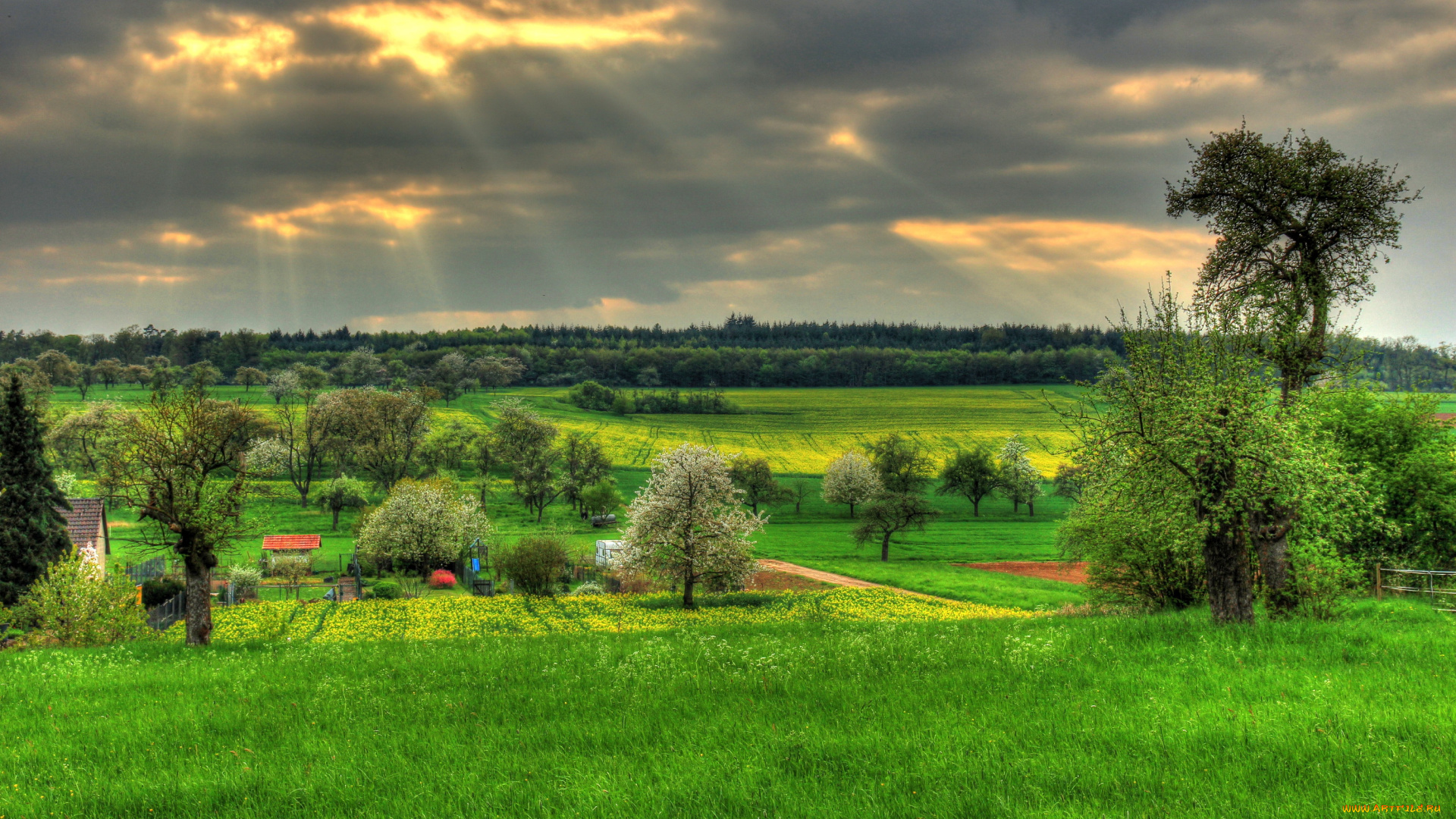 германия, гессен, хунген, природа, поля