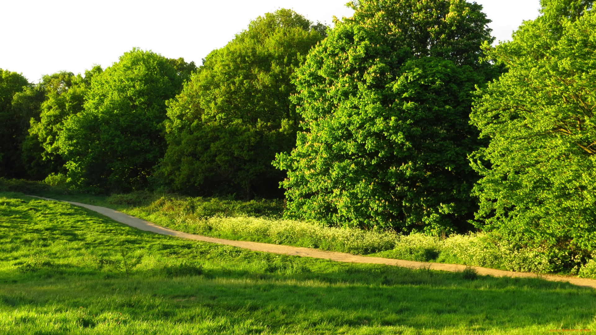 london, природа, парк, дорожка, деревья