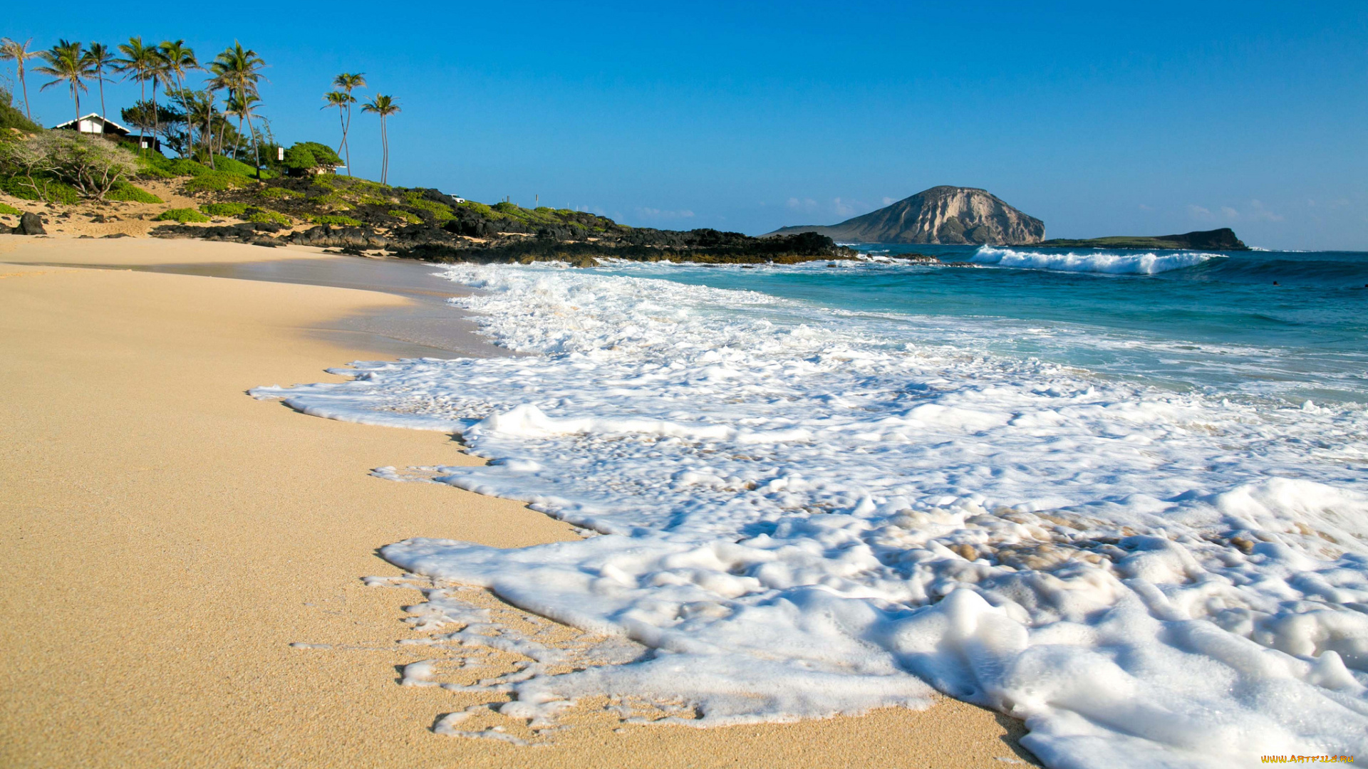 makapu`u, beach, oahu, hawaii, природа, побережье, makapuu, pacific, ocean, оаху, гавайи, тихий, океан, пальмы, пляж