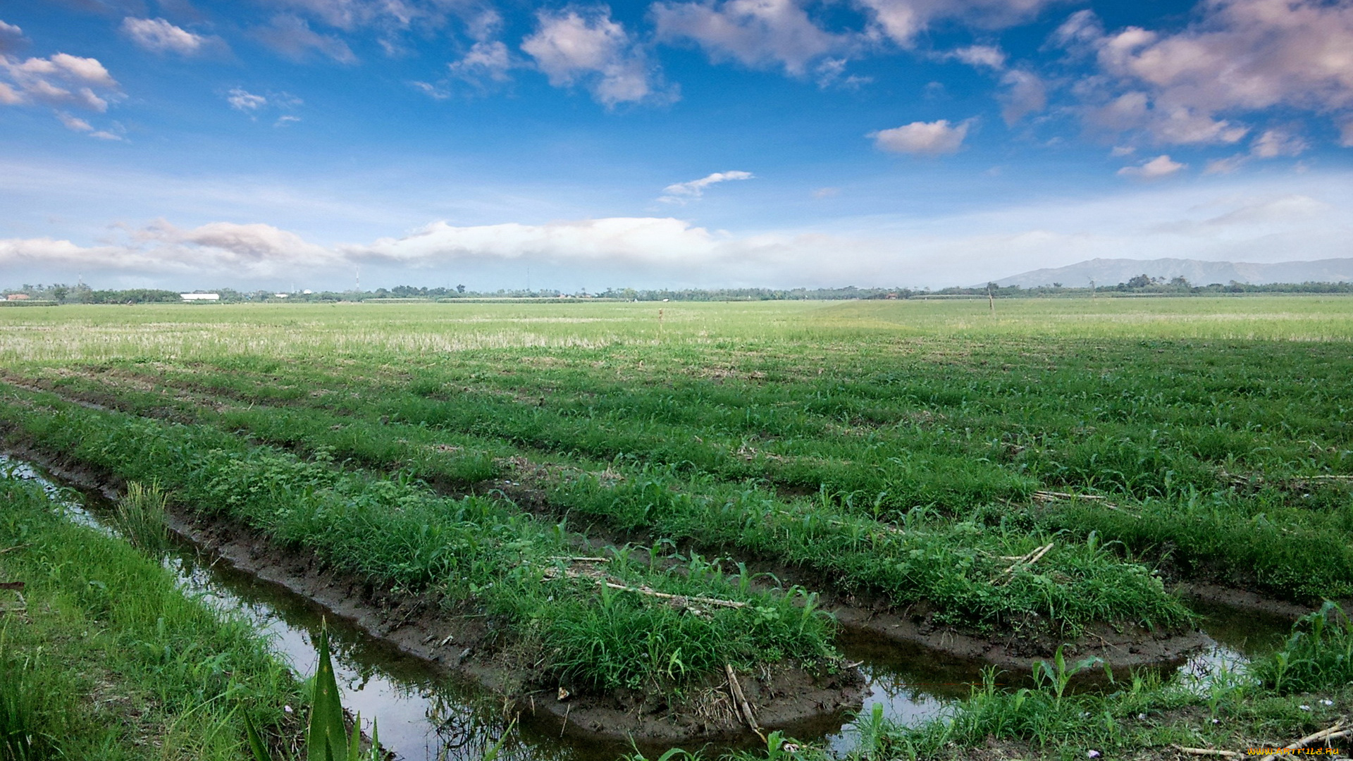 природа, поля, канал, поле