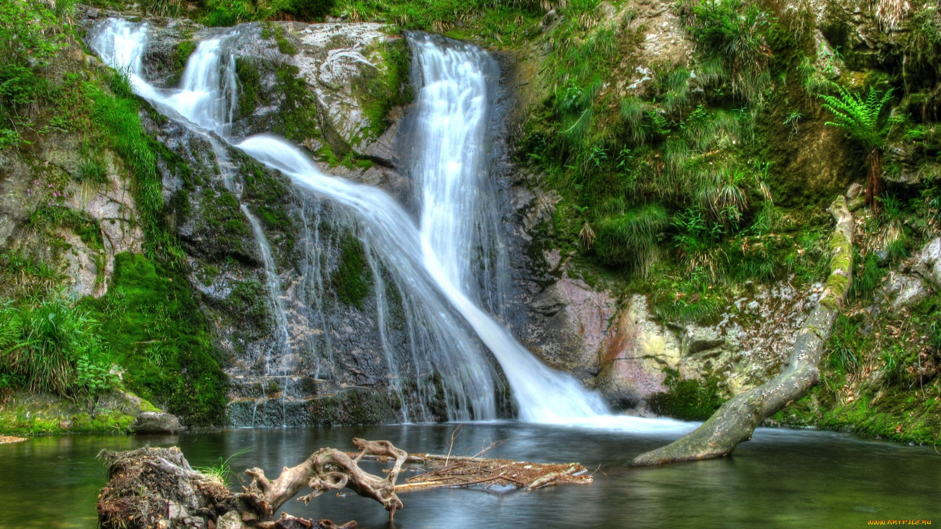 природа, водопады, водопад, бревно, лес, река, обрыв, заросли
