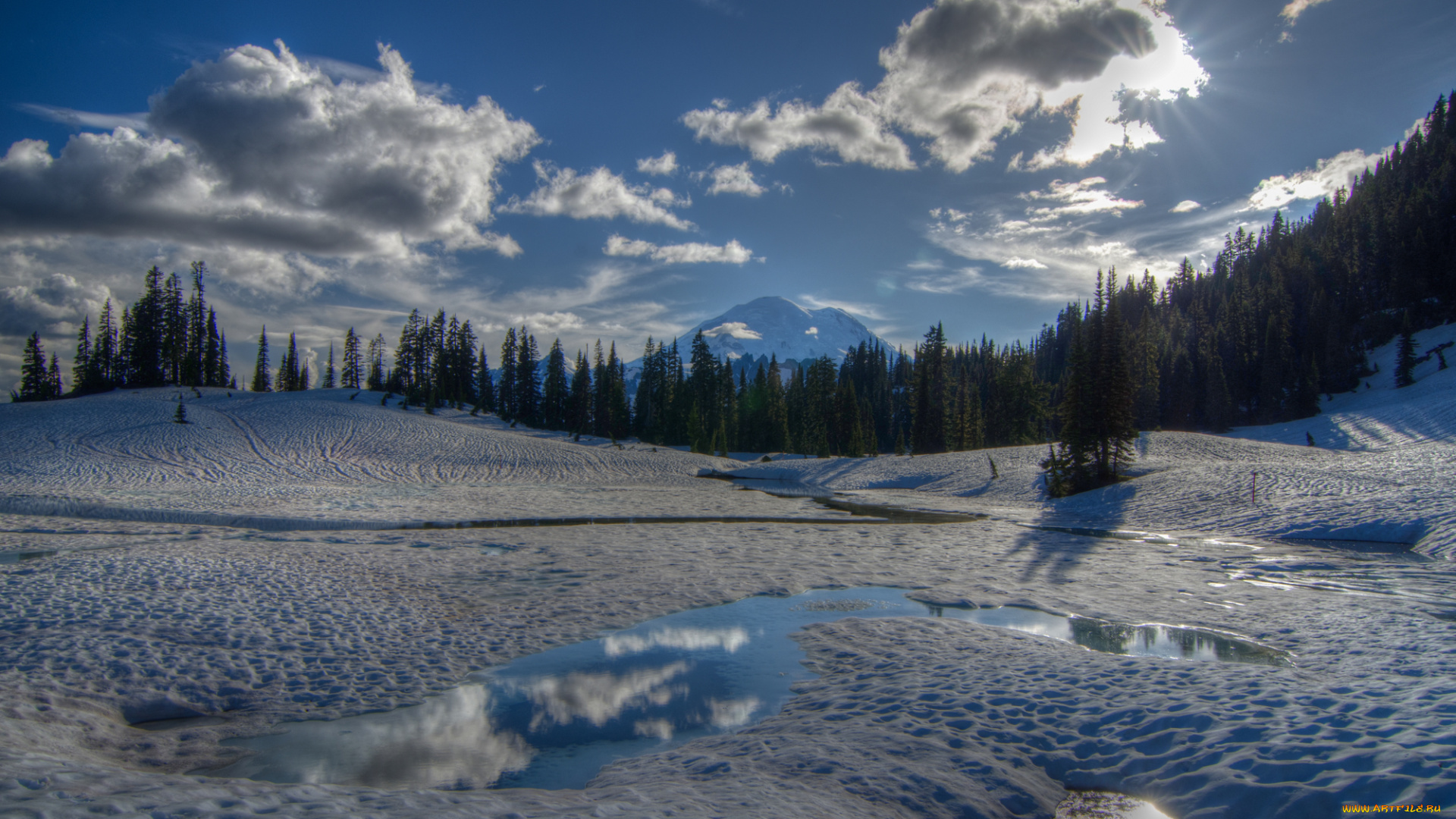 tipsoo, lake, mount, rainier, national, park, washington, природа, зима, деревья, замёрзшее, озеро, снег, гора, chinook, pass