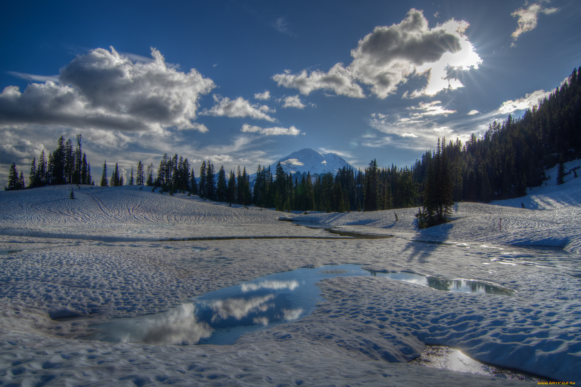 tipsoo, lake, mount, rainier, national, park, washington, природа, зима, деревья, замёрзшее, озеро, снег, гора, chinook, pass