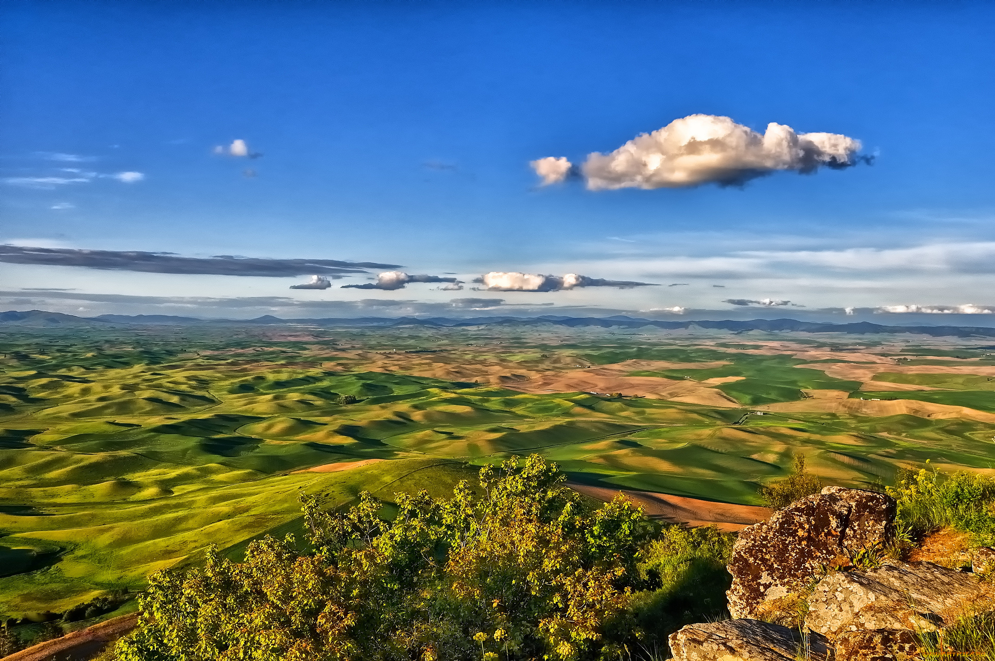 steptoe, butte, state, park, washington, природа, пейзажи, панорама, холмы, palouse