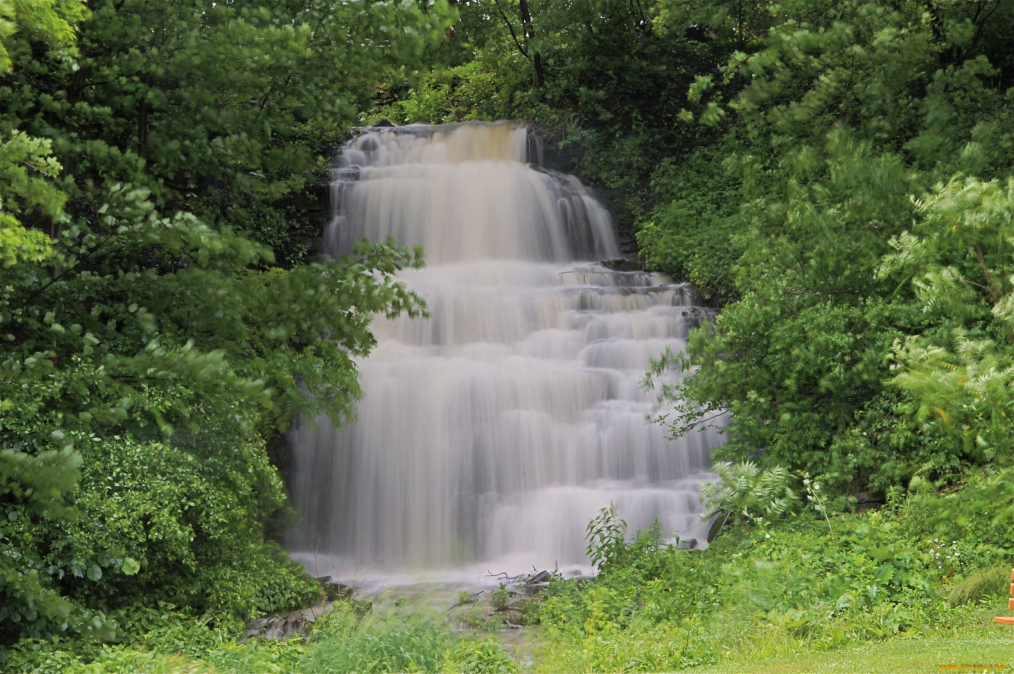clarendon, falls, ny, природа, водопады, водопад, кларендон, каскад, поток, лес