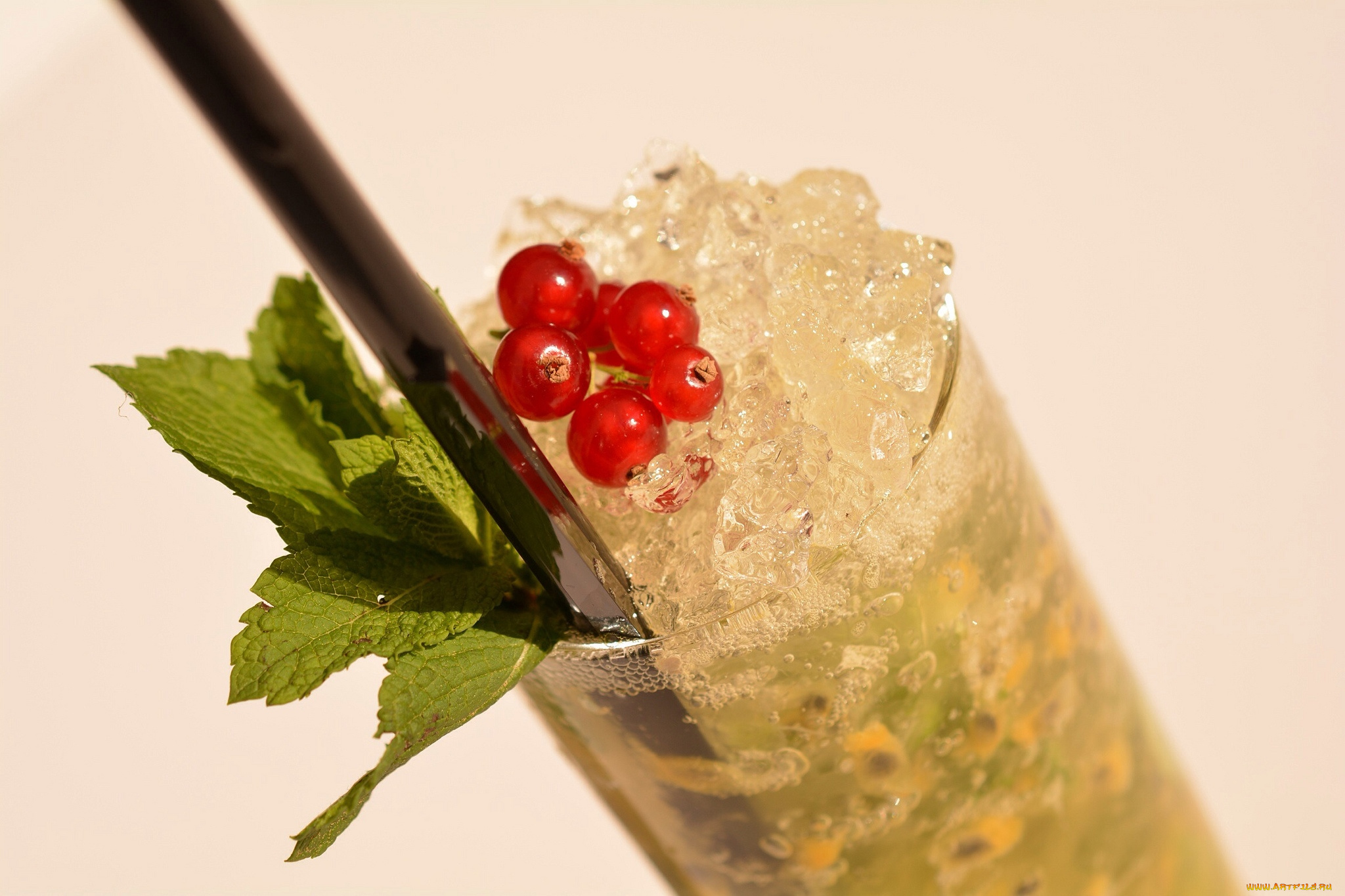 еда, напитки, коктейль, смородина, мята, лед, стакан