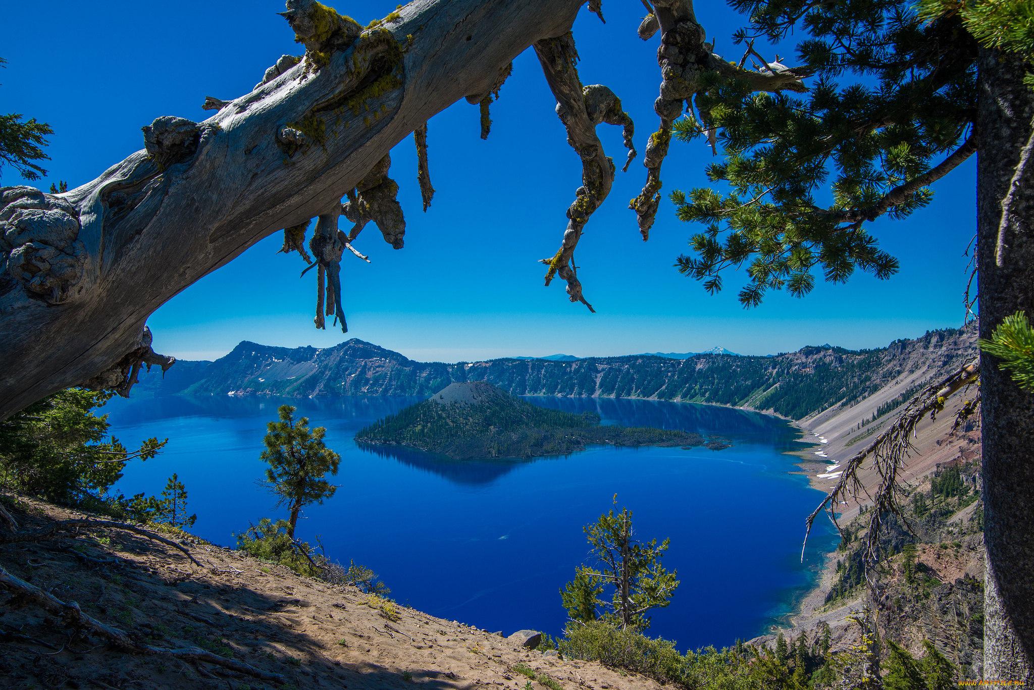 crater, lake, national, park, oregon, природа, реки, озера, деревья, озеро, крейтер, орегон, остров