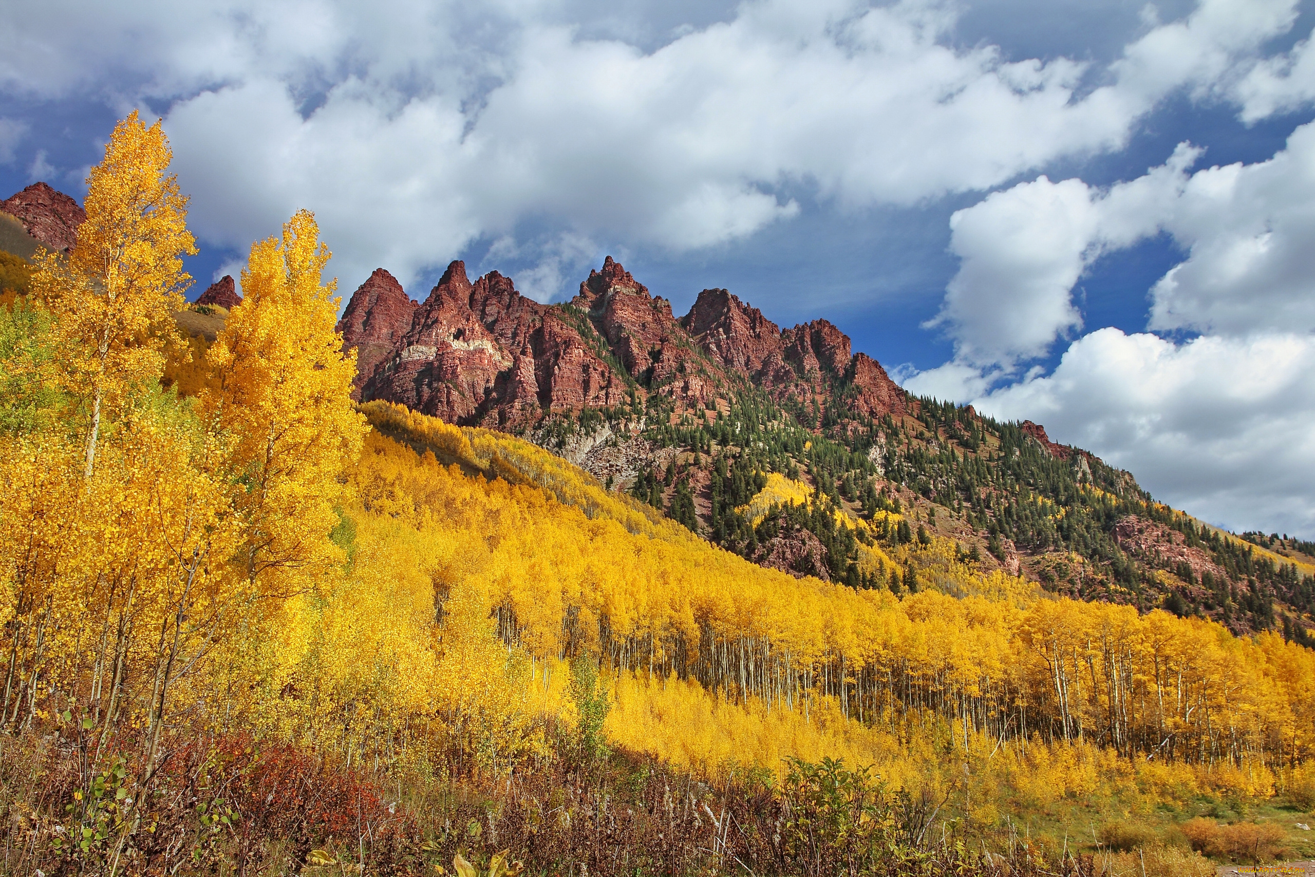 sievers, mountain, maroon, bells, colorado, природа, горы, колорадо, лес, осень, деревья