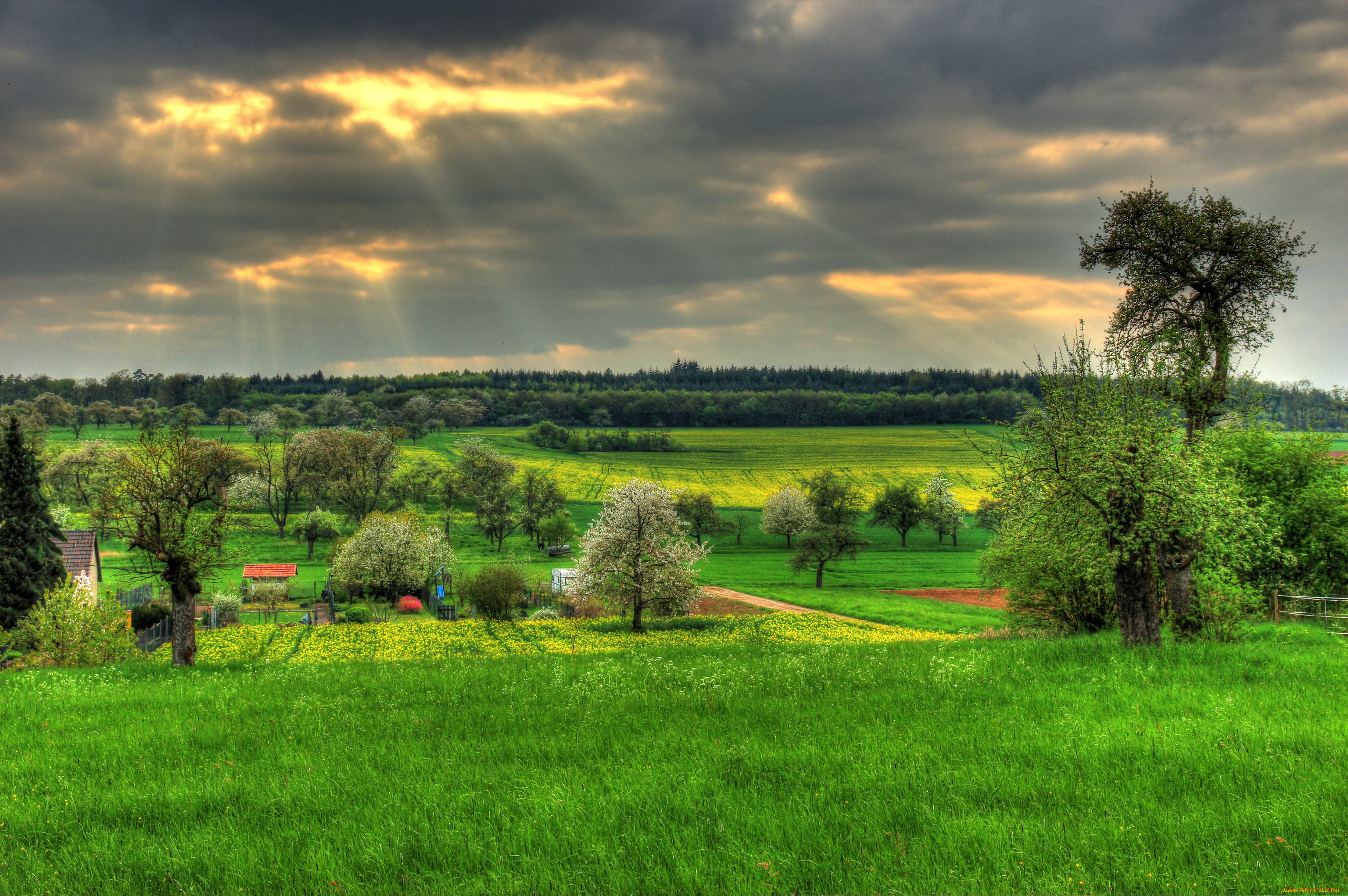германия, гессен, хунген, природа, поля