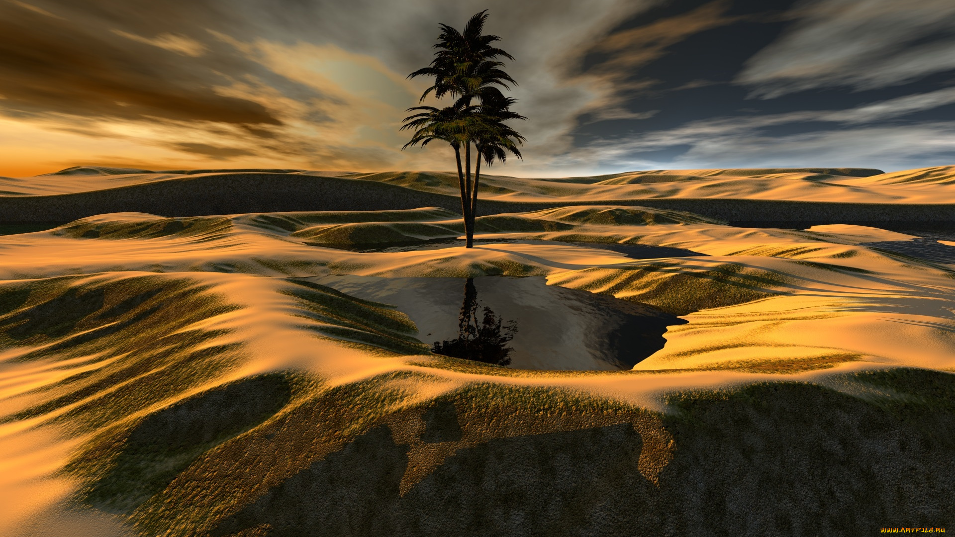 3д, графика, природа, , nature, вода, песок, пальма