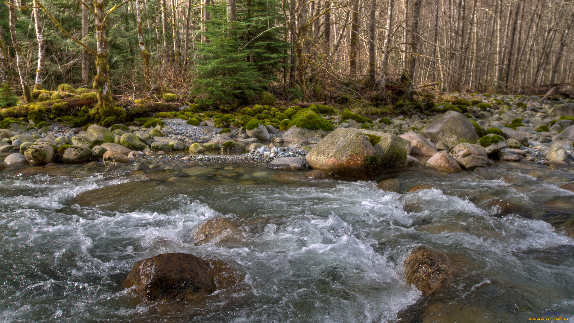 природа, реки, озера, лес, камни, поток