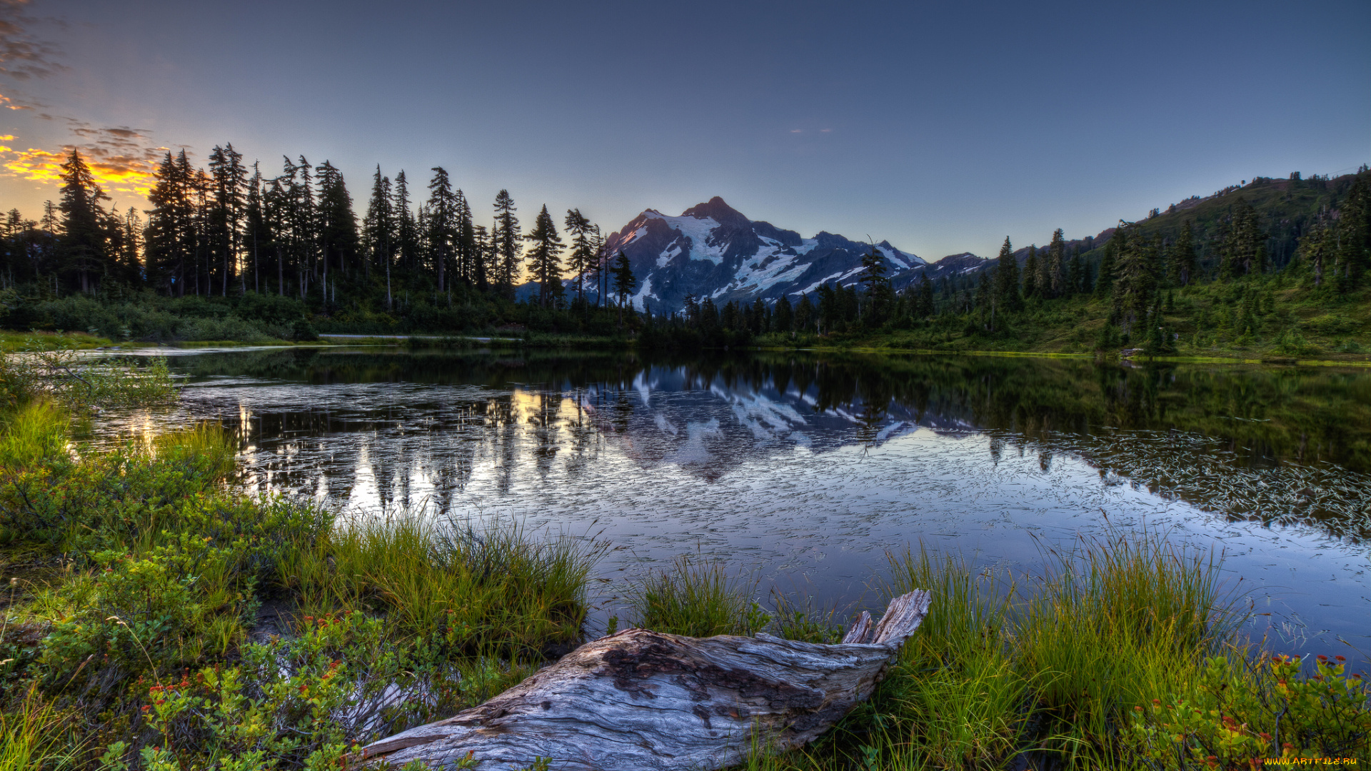 природа, реки, озера, лес, река, горы