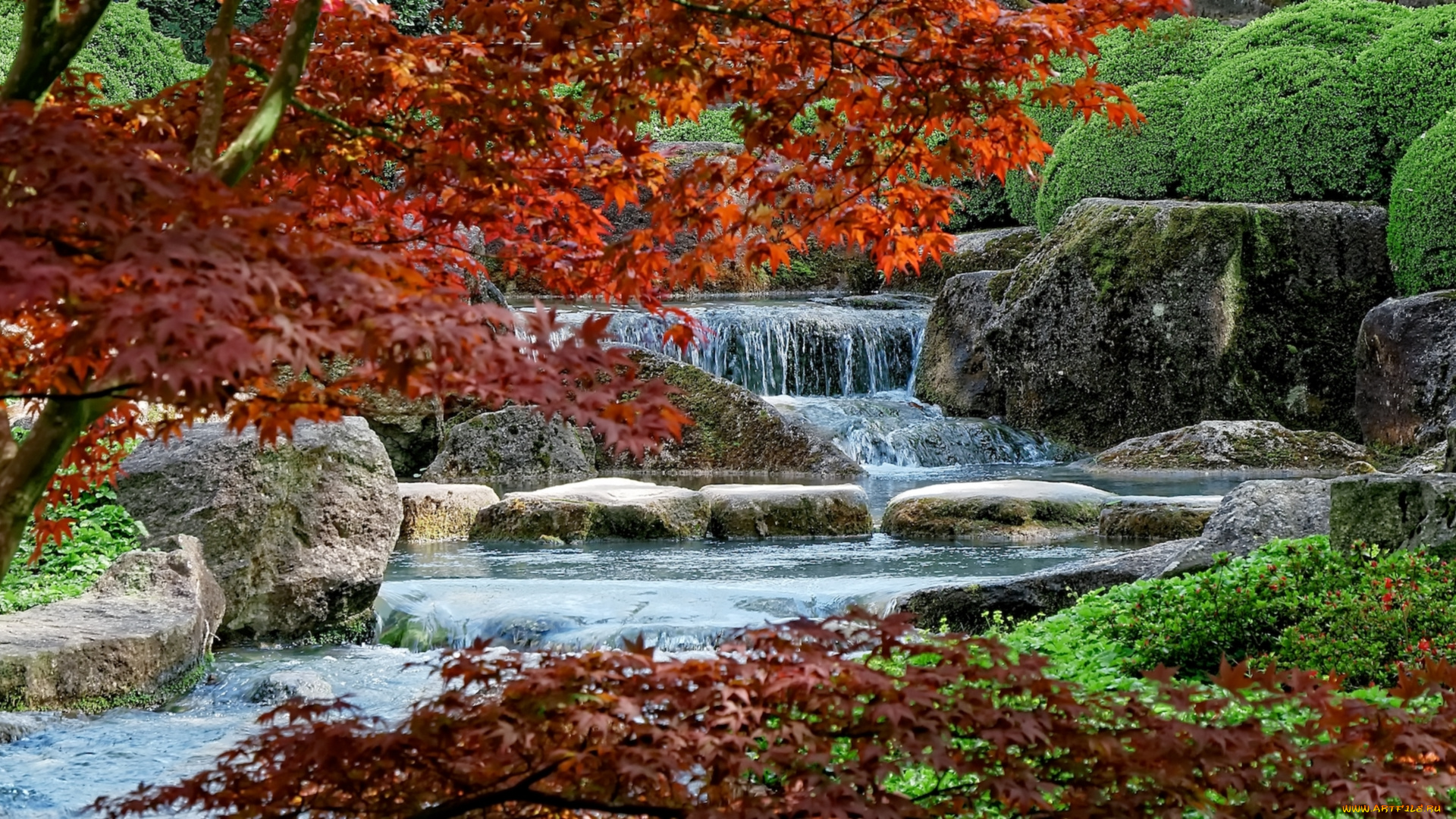 природа, водопады, вода, клен