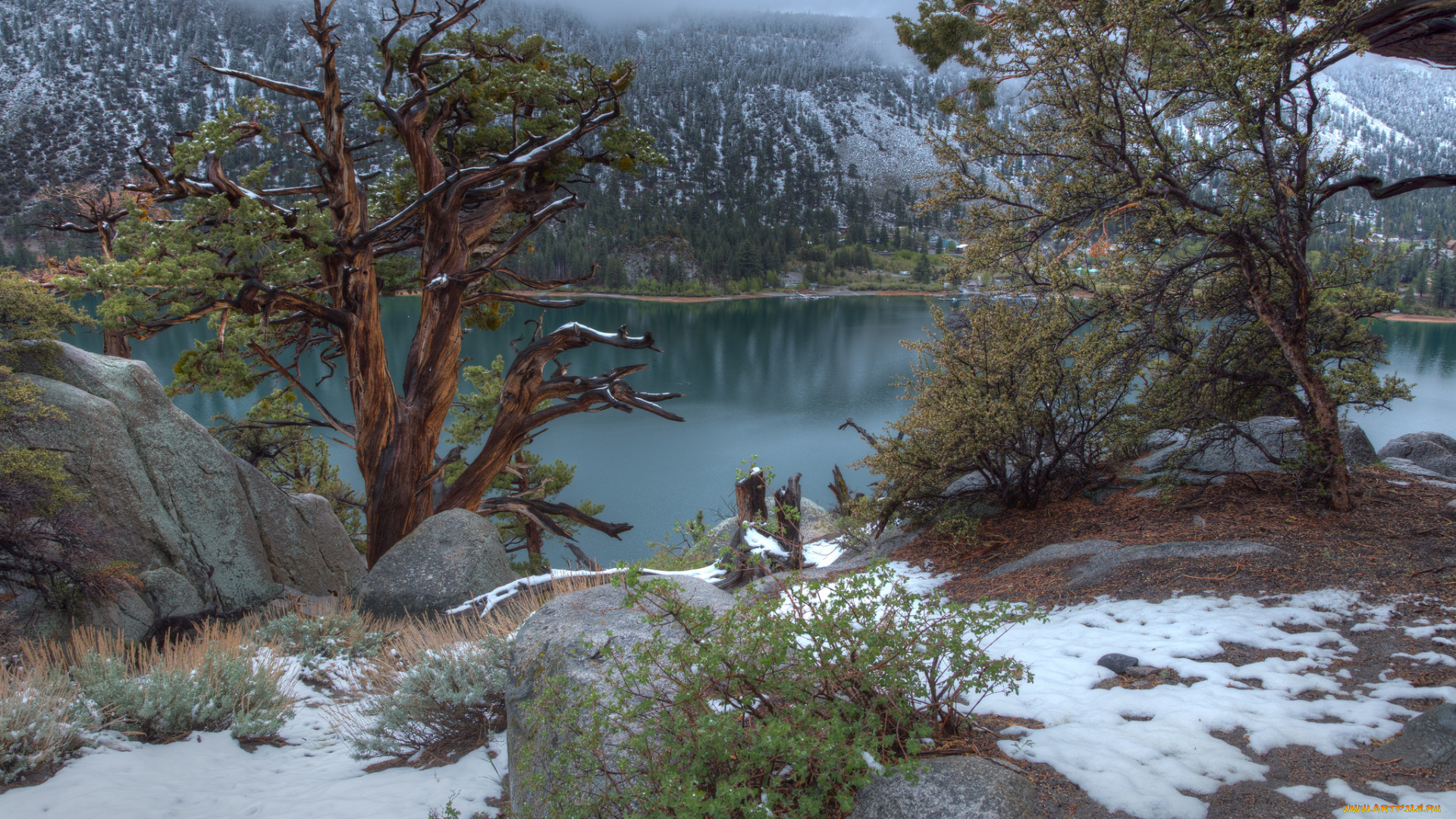 природа, зима, горы, река, лес, снег