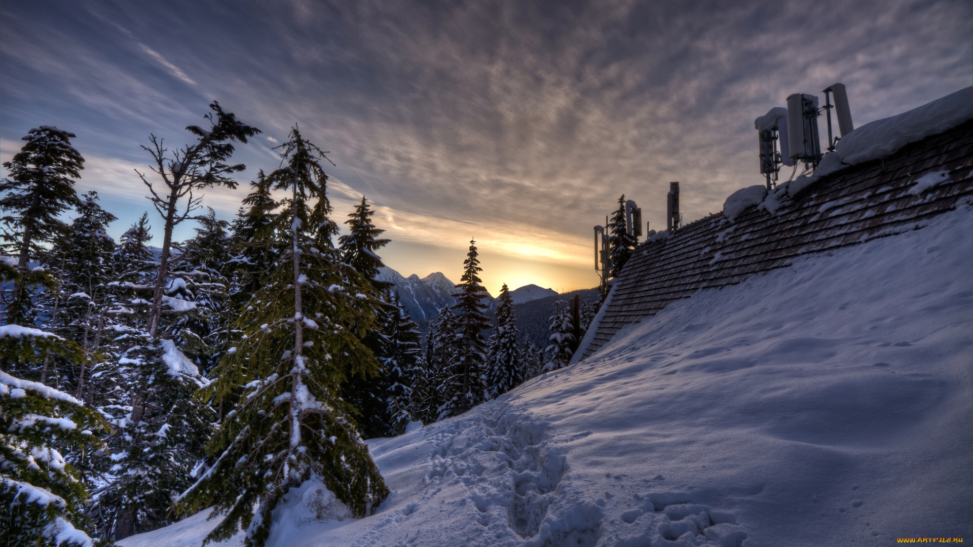 природа, зима, снег, лес, следы