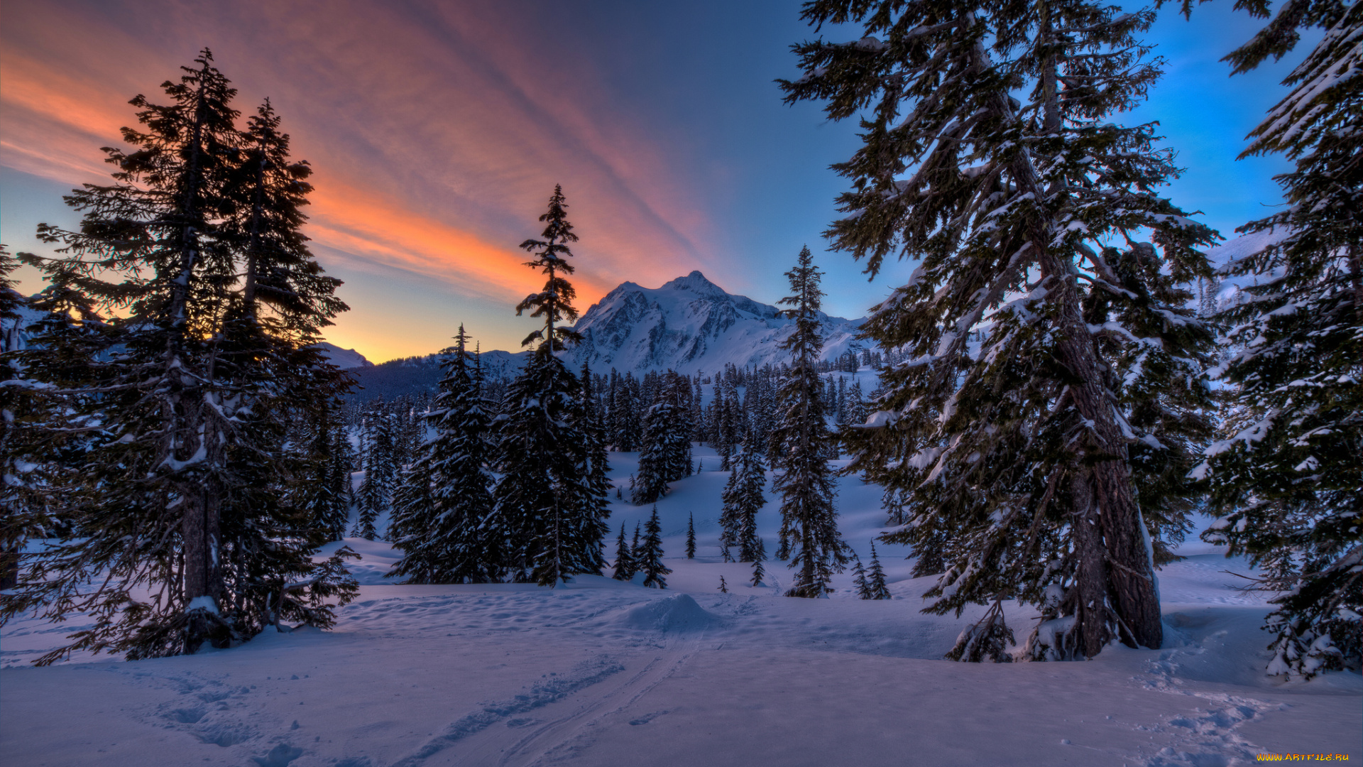 природа, зима, зарево, следы, снег, лес, горы