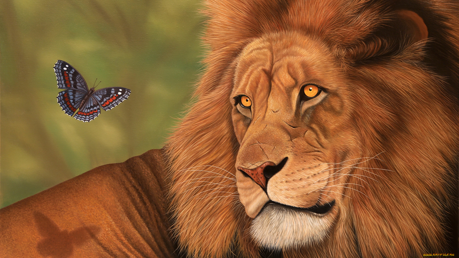 рисованные, животные, лев, бабочка