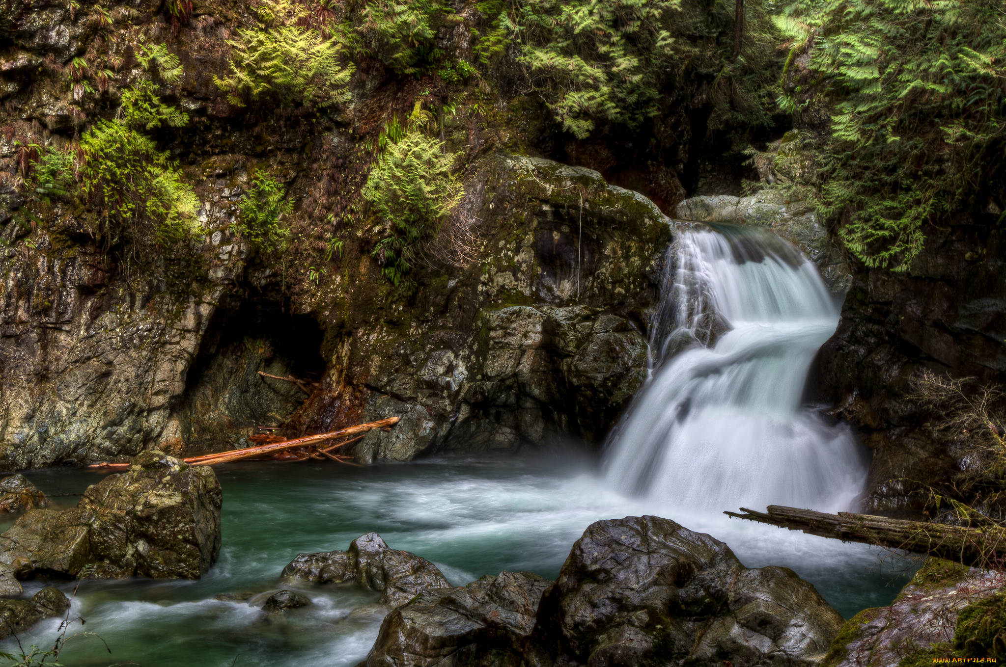 природа, водопады, лес, водопад, река
