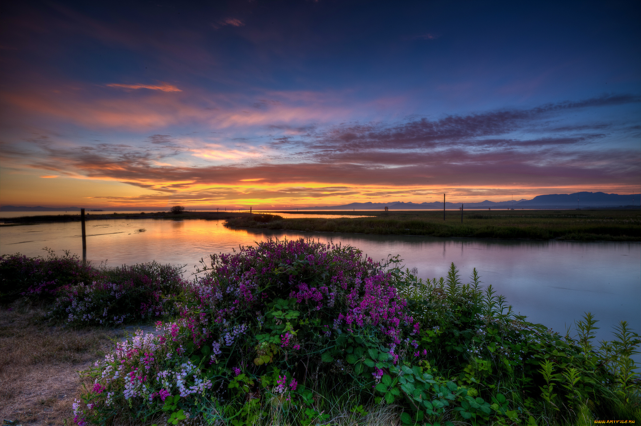 природа, реки, озера, вечер, заря, луг, река