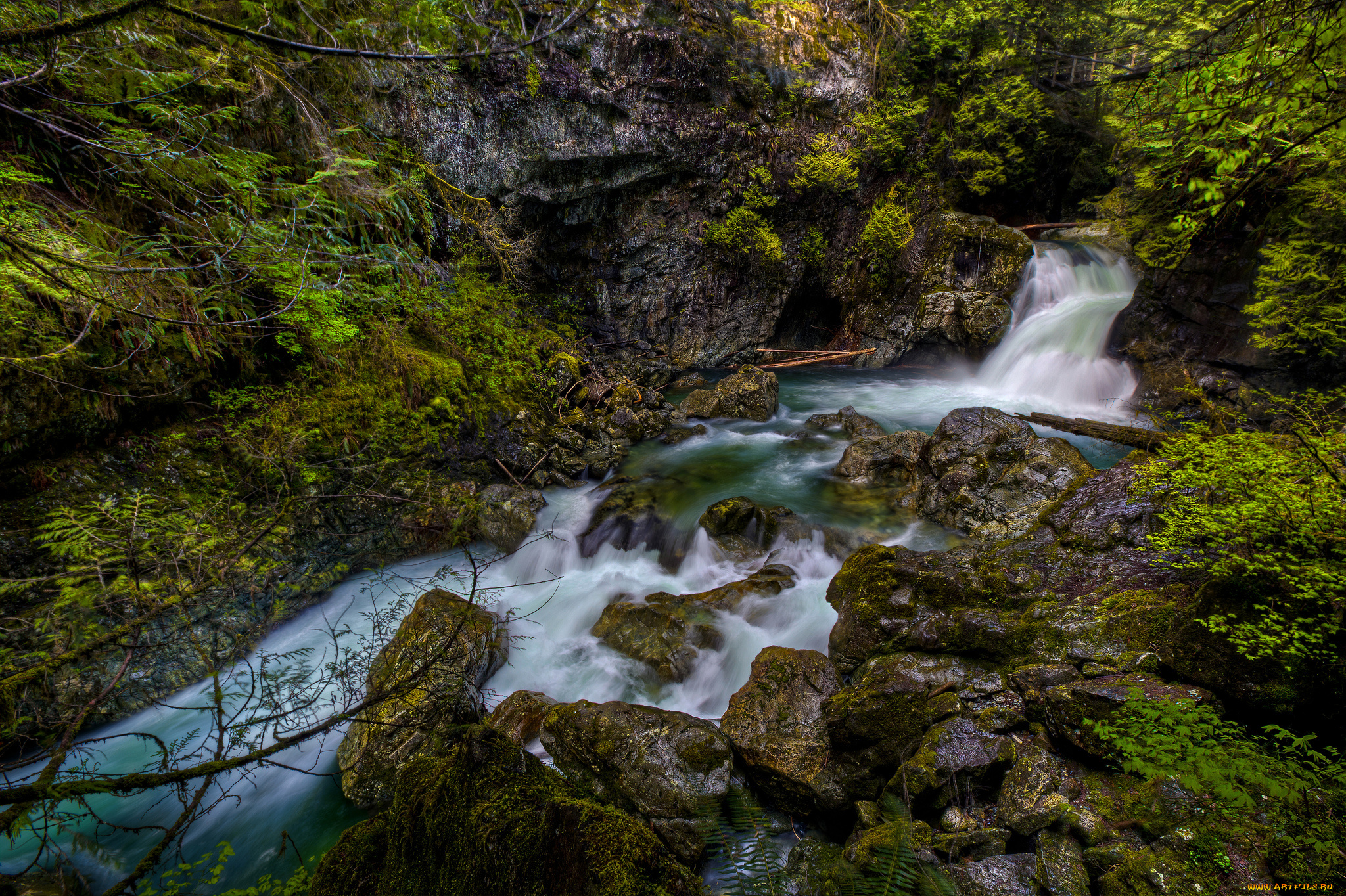 природа, водопады, водопад, река, лес