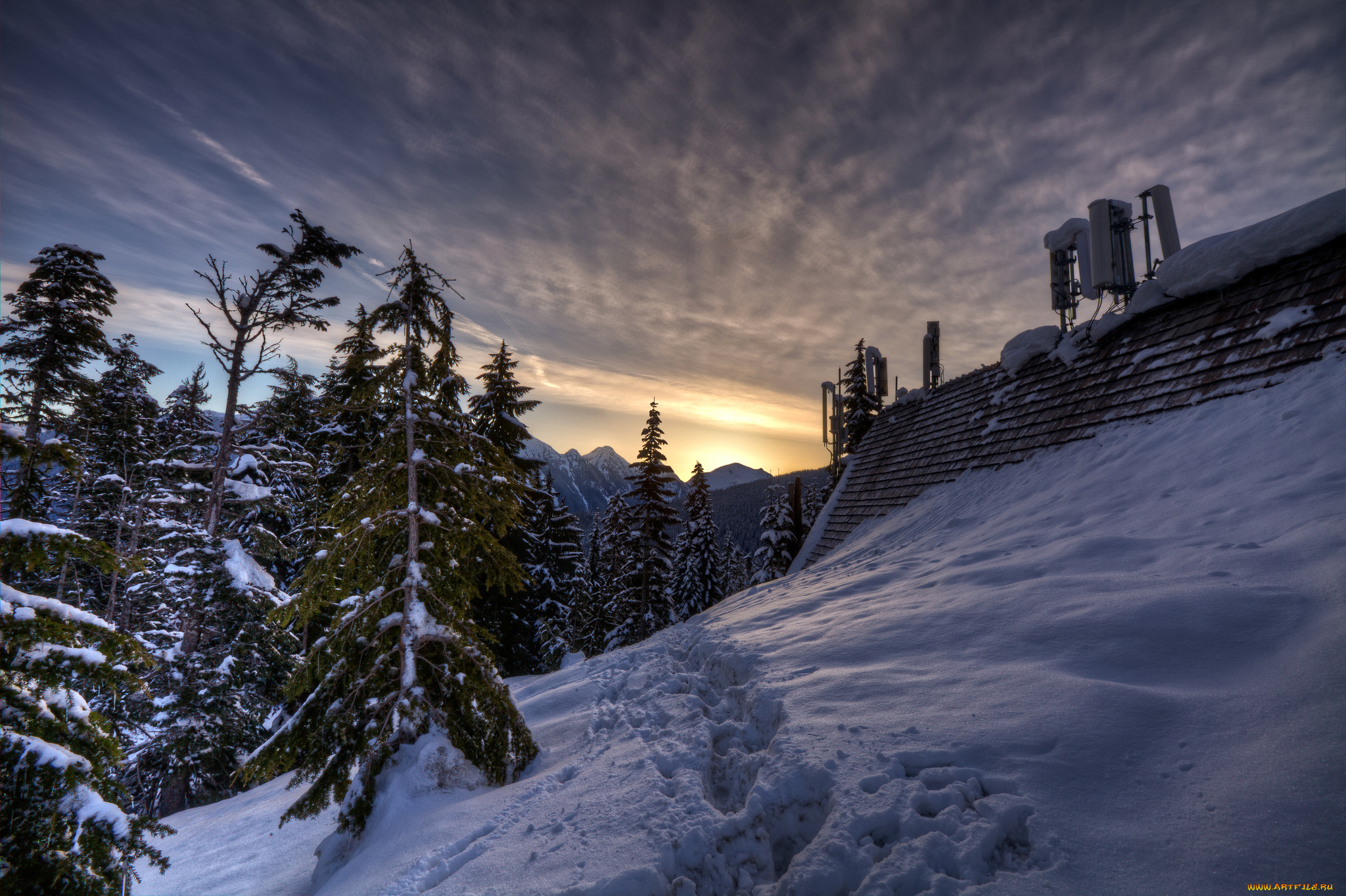 природа, зима, снег, лес, следы