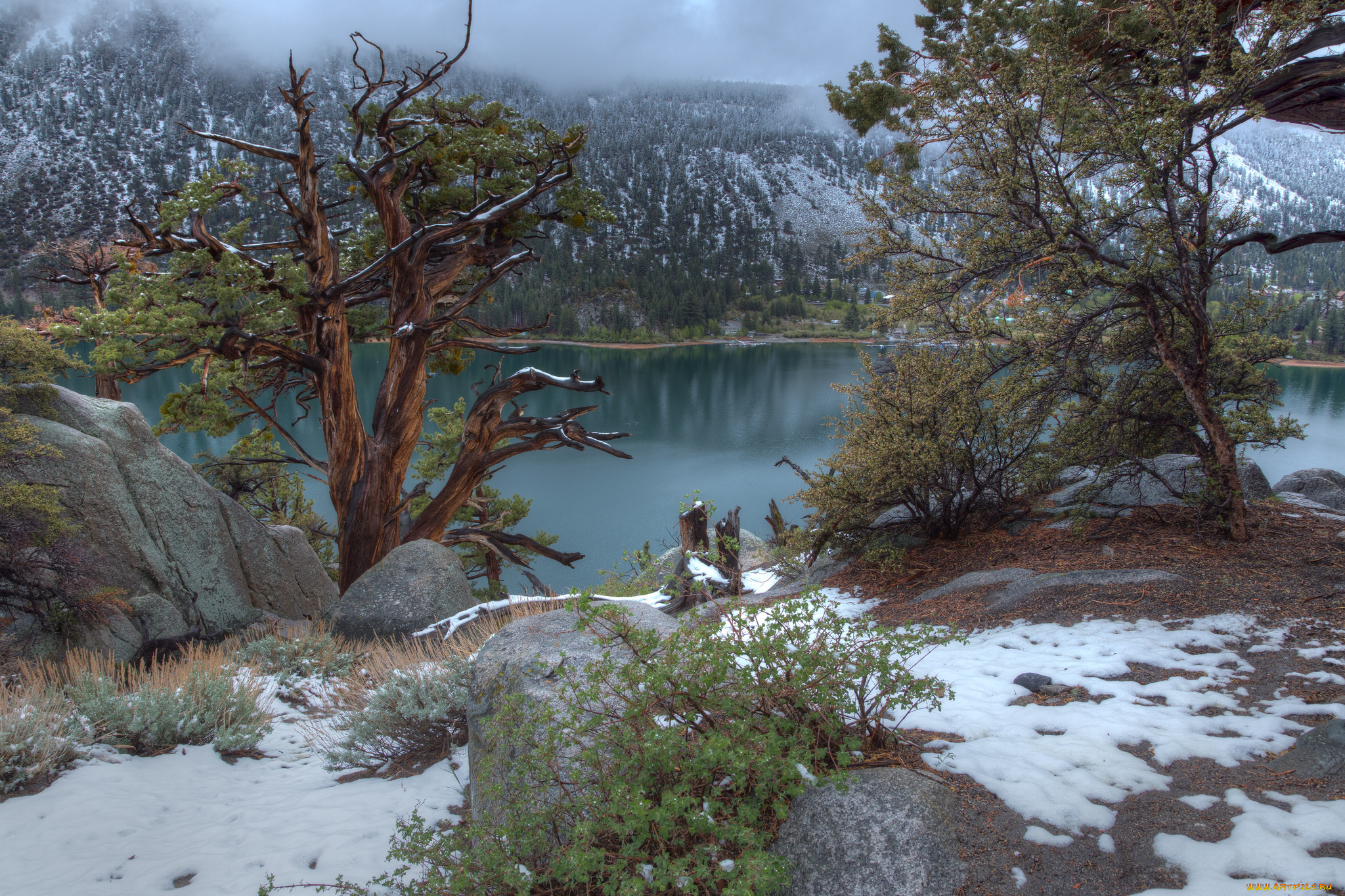 природа, зима, горы, река, лес, снег