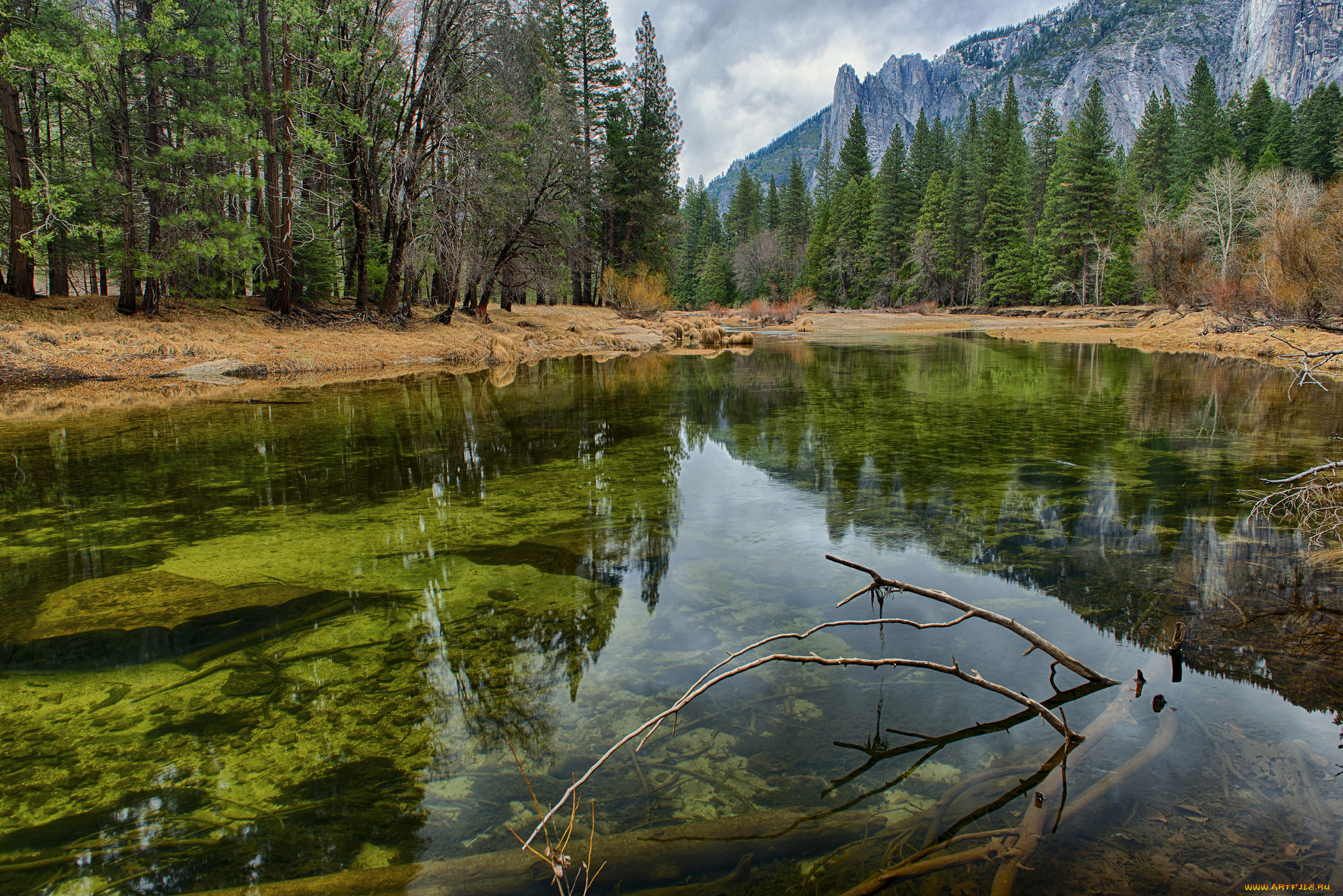 природа, реки, озера, река, лес, горы