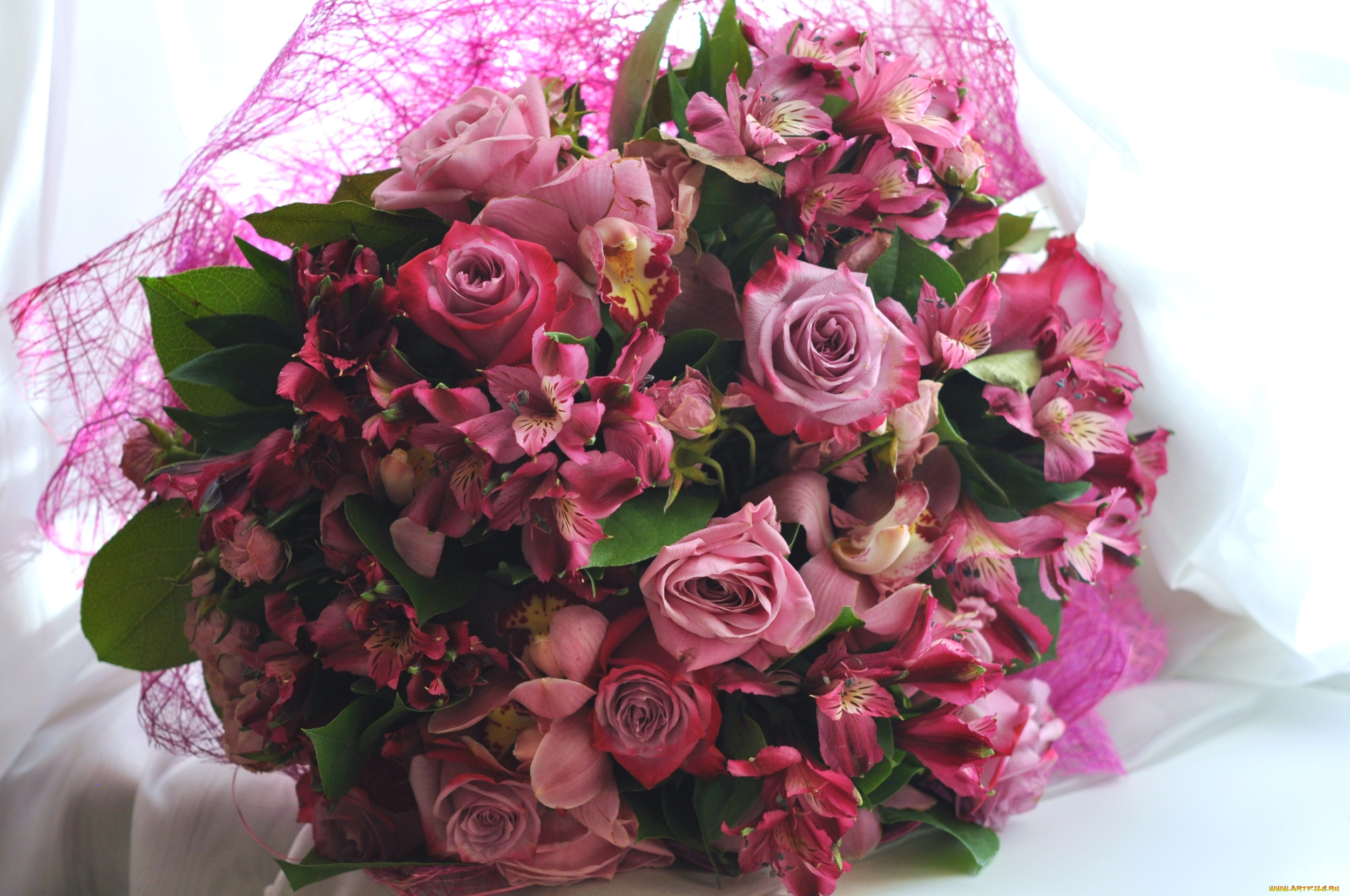 цветы, букеты, , композиции, альстромерия, роза, орхидея