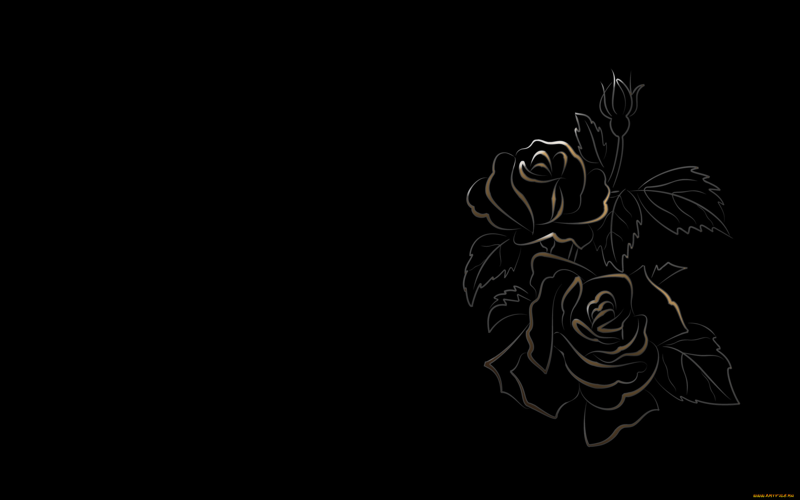 рисованные, цветы, черный, фон