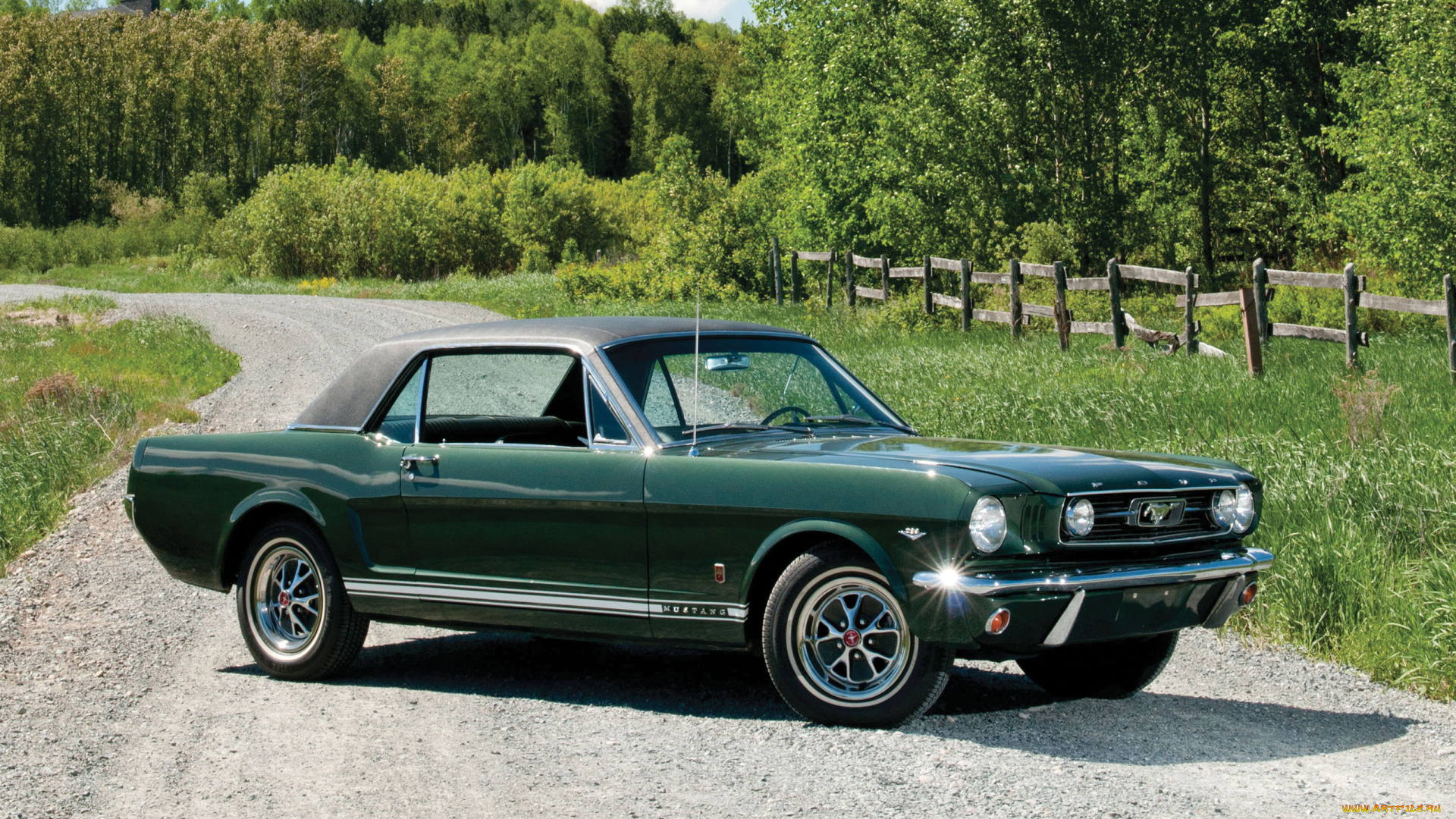 автомобили, mustang