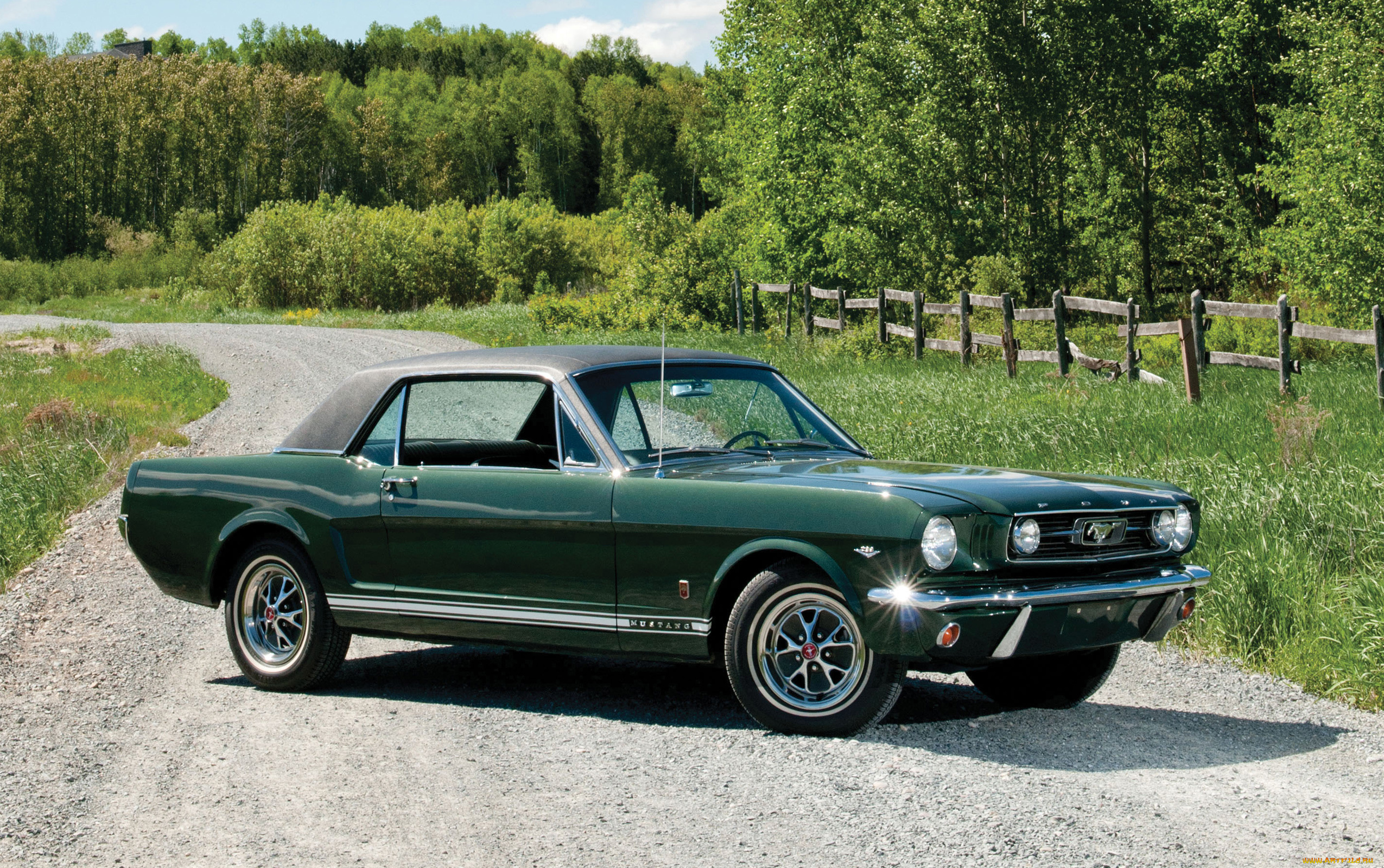 автомобили, mustang