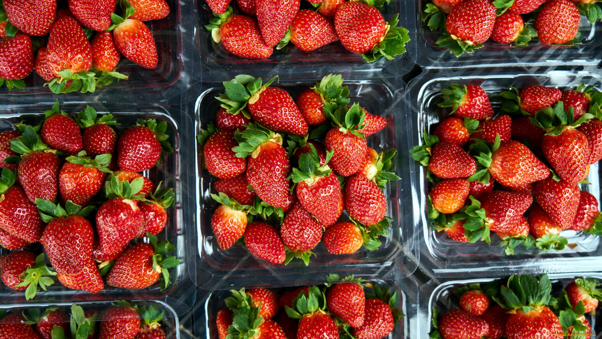 еда, клубника, , земляника, много, ягоды