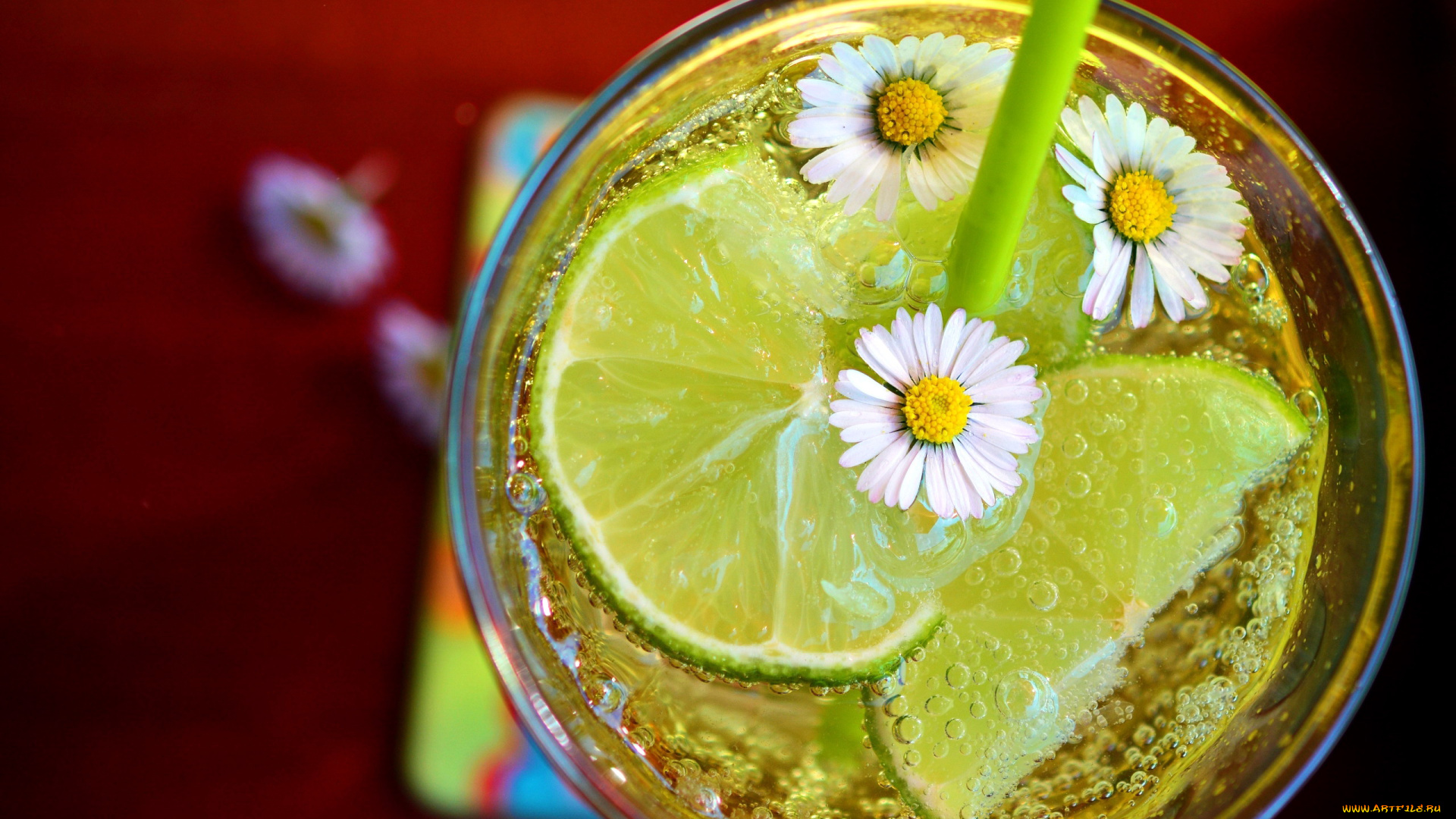 еда, напитки, , коктейль, цветы, ромашки, напиток, лайм