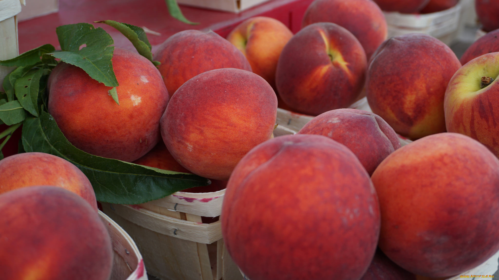 еда, персики, , сливы, , абрикосы, фрукт, листики, персик