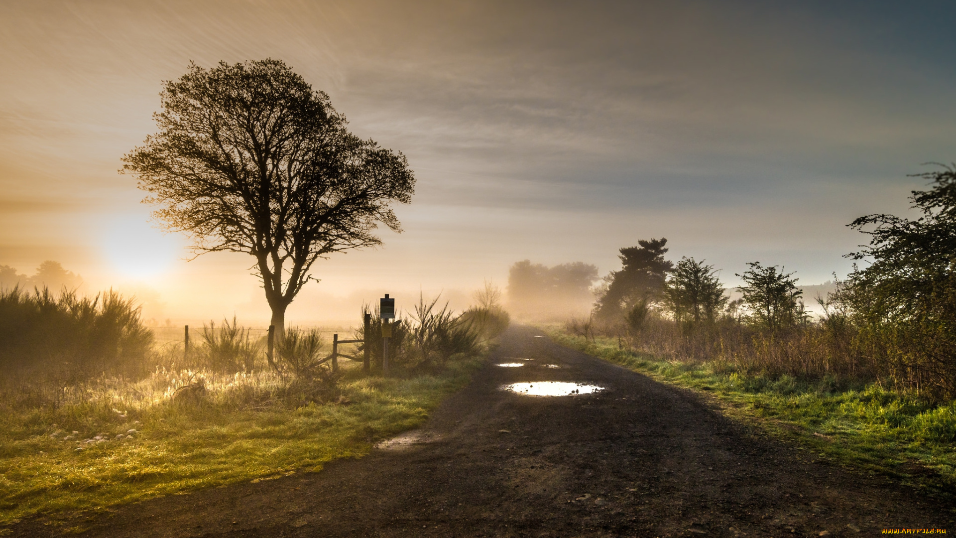 природа, дороги, тракт