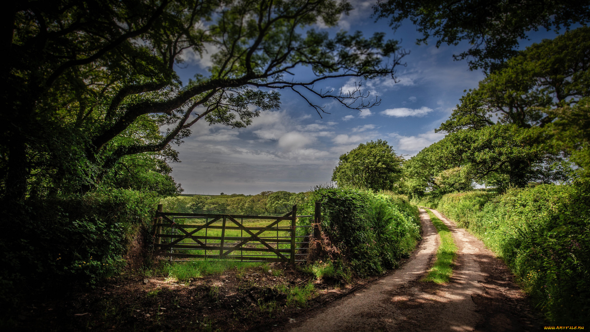 природа, дороги, тракт