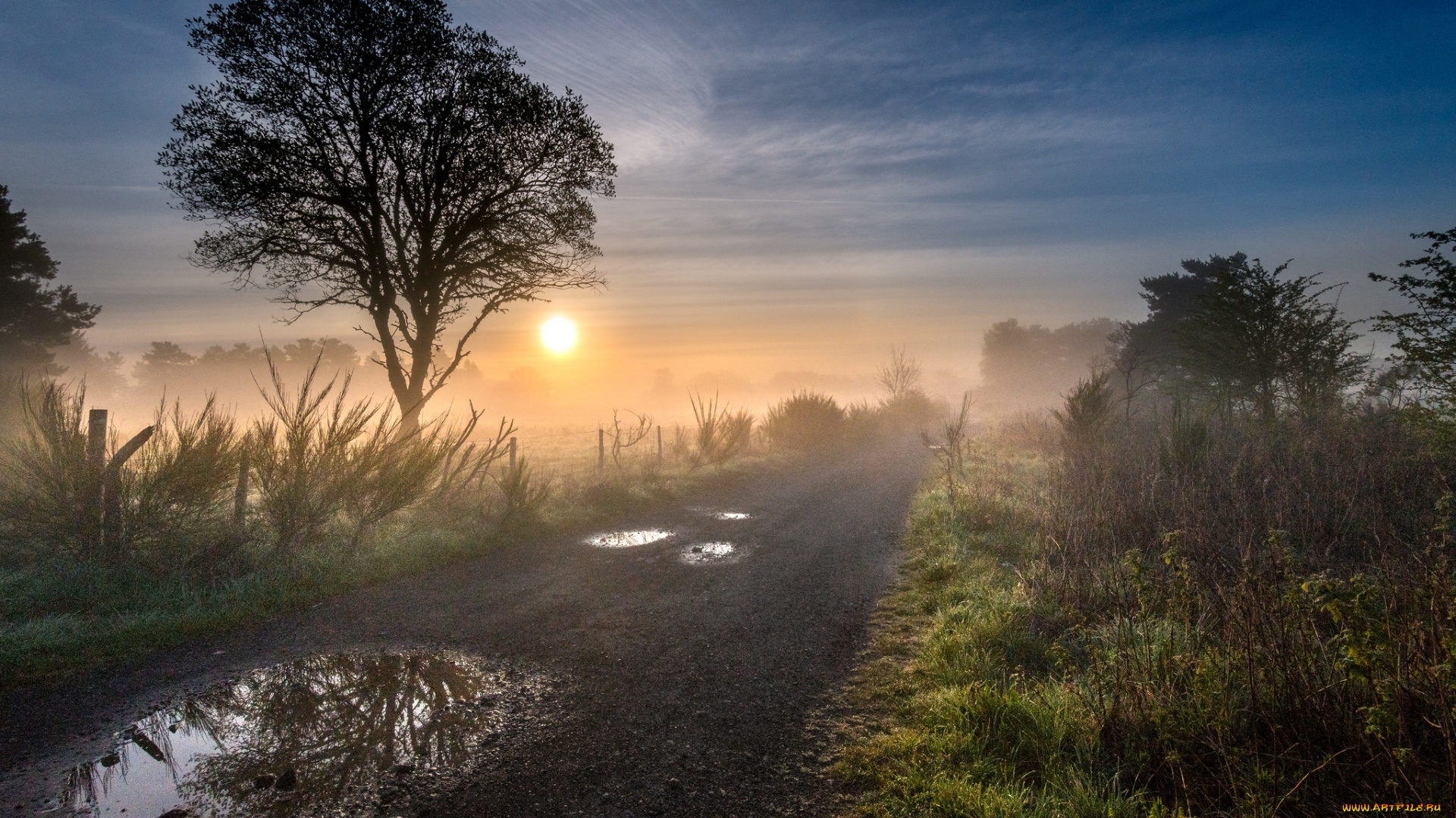 природа, дороги, тракт