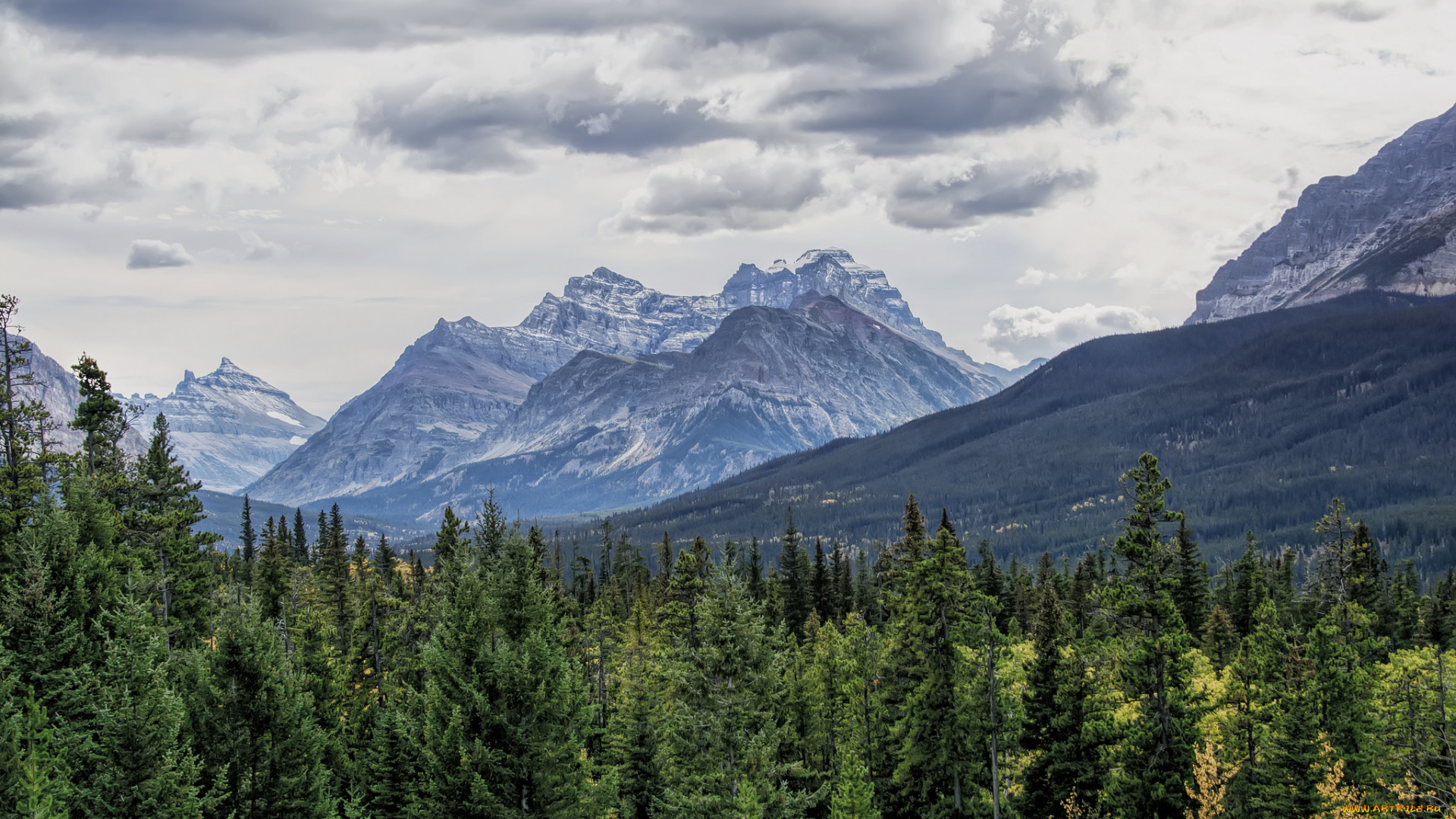 природа, горы, простор