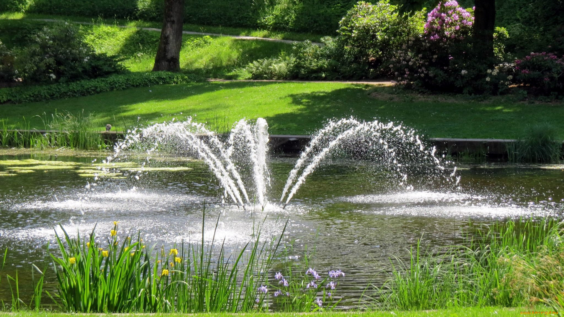 природа, парк, водоем, фонтан