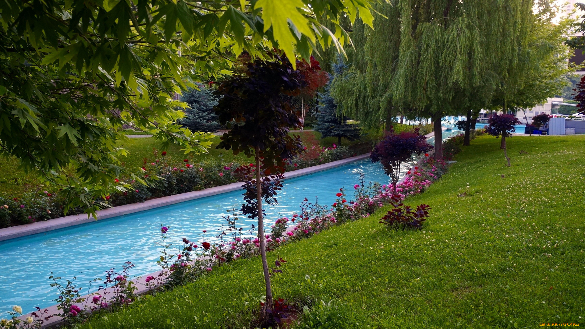 природа, парк, водоем, клумбы, лужайка, деревья