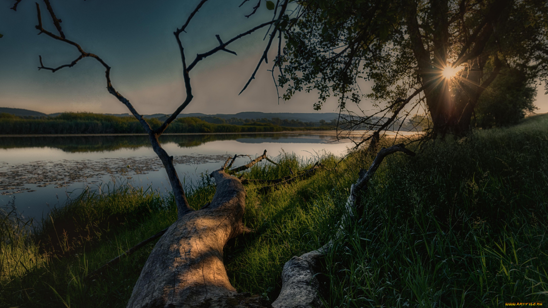 природа, реки, озера, лес, река