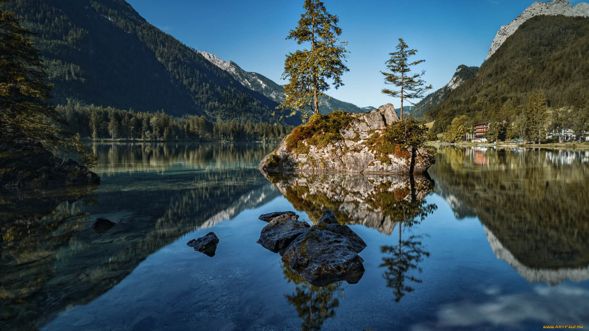 природа, реки, озера, лес, река