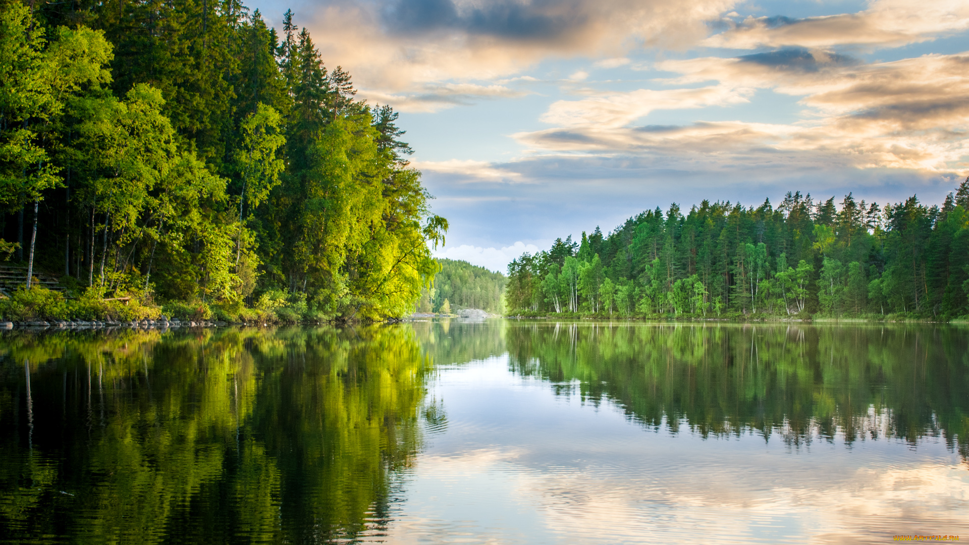природа, реки, озера, лес, река