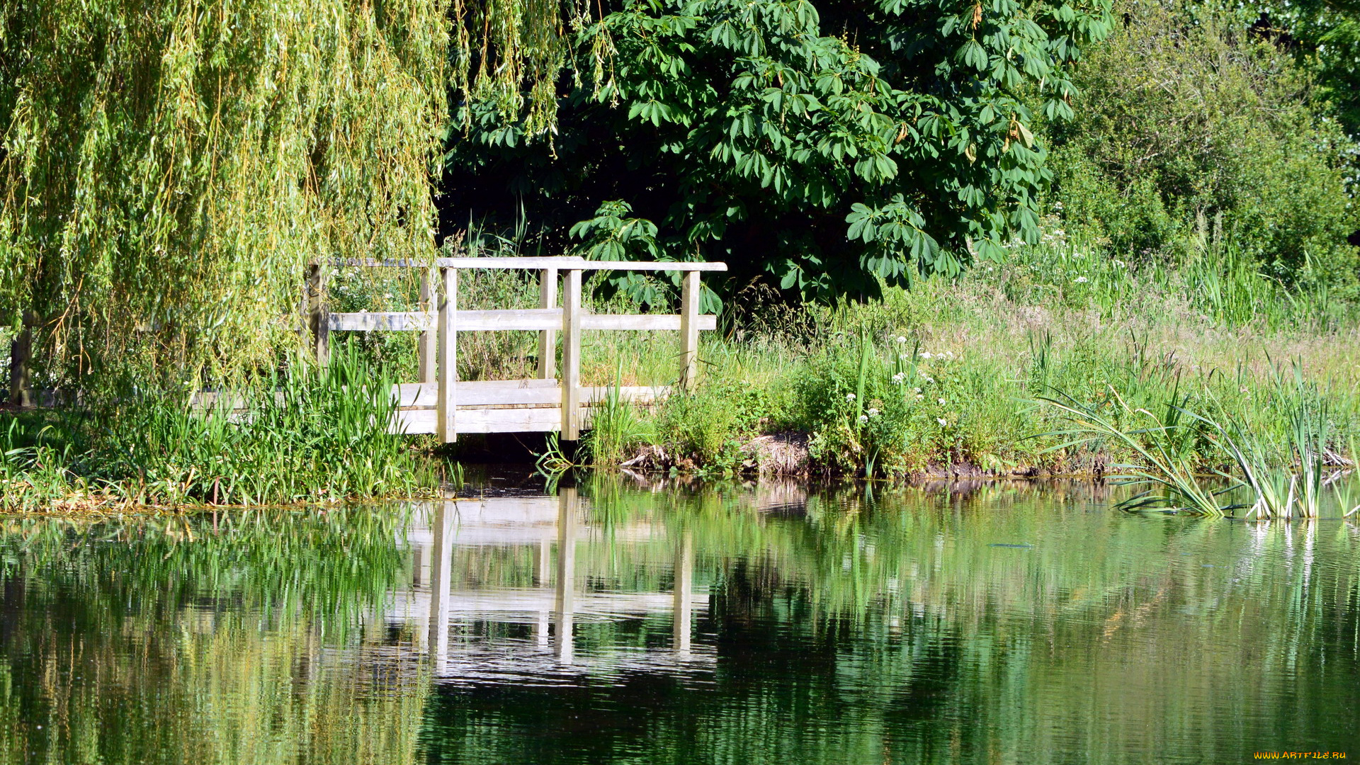 природа, реки, озера, мостик, пруд, деревья