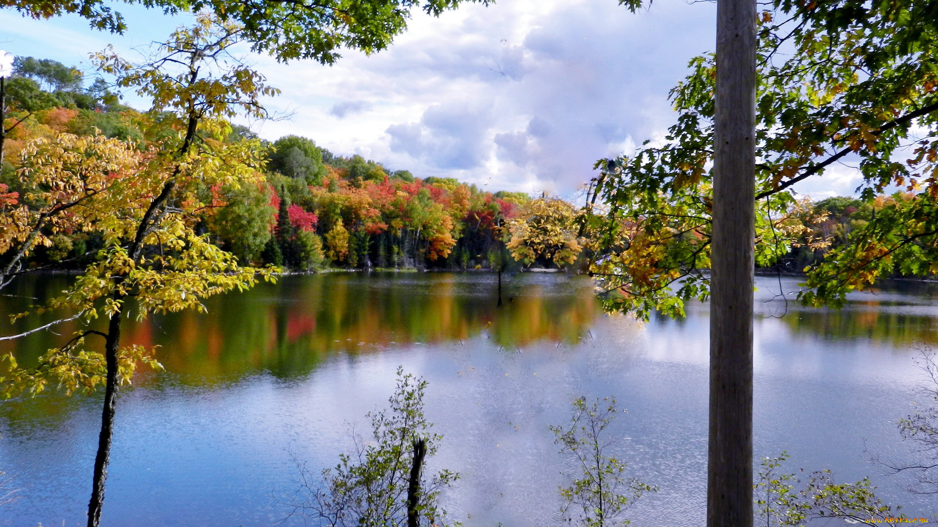 природа, реки, озера, осень, река, деревья