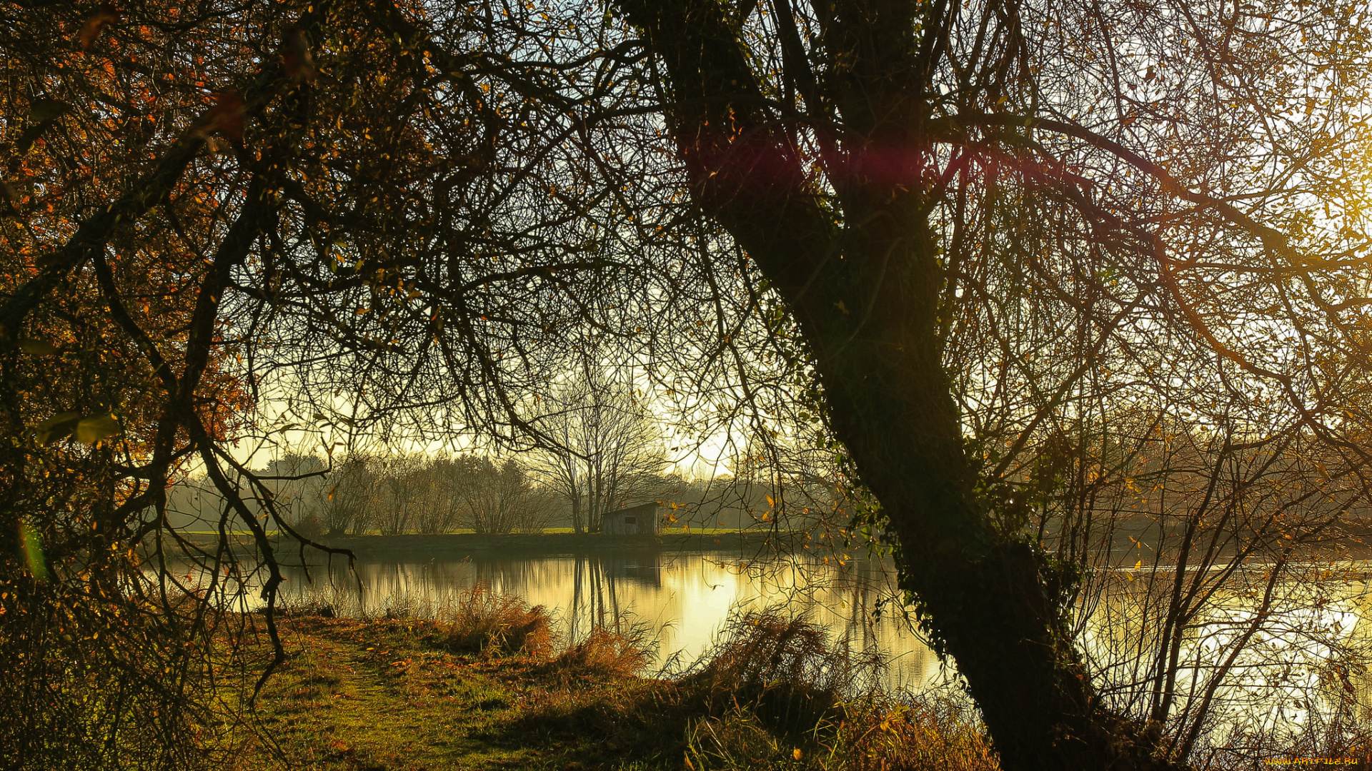 природа, реки, озера, река, лес