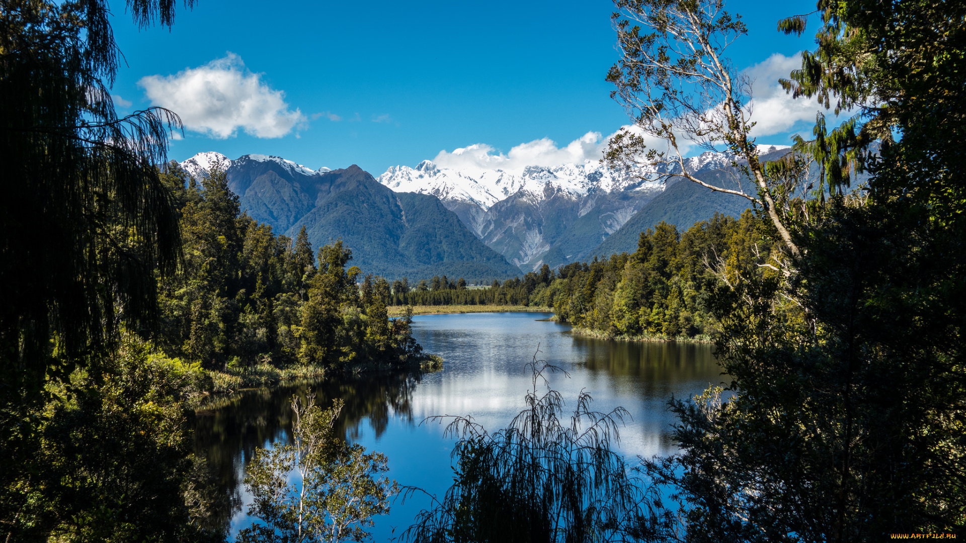 природа, реки, озера, река, лес