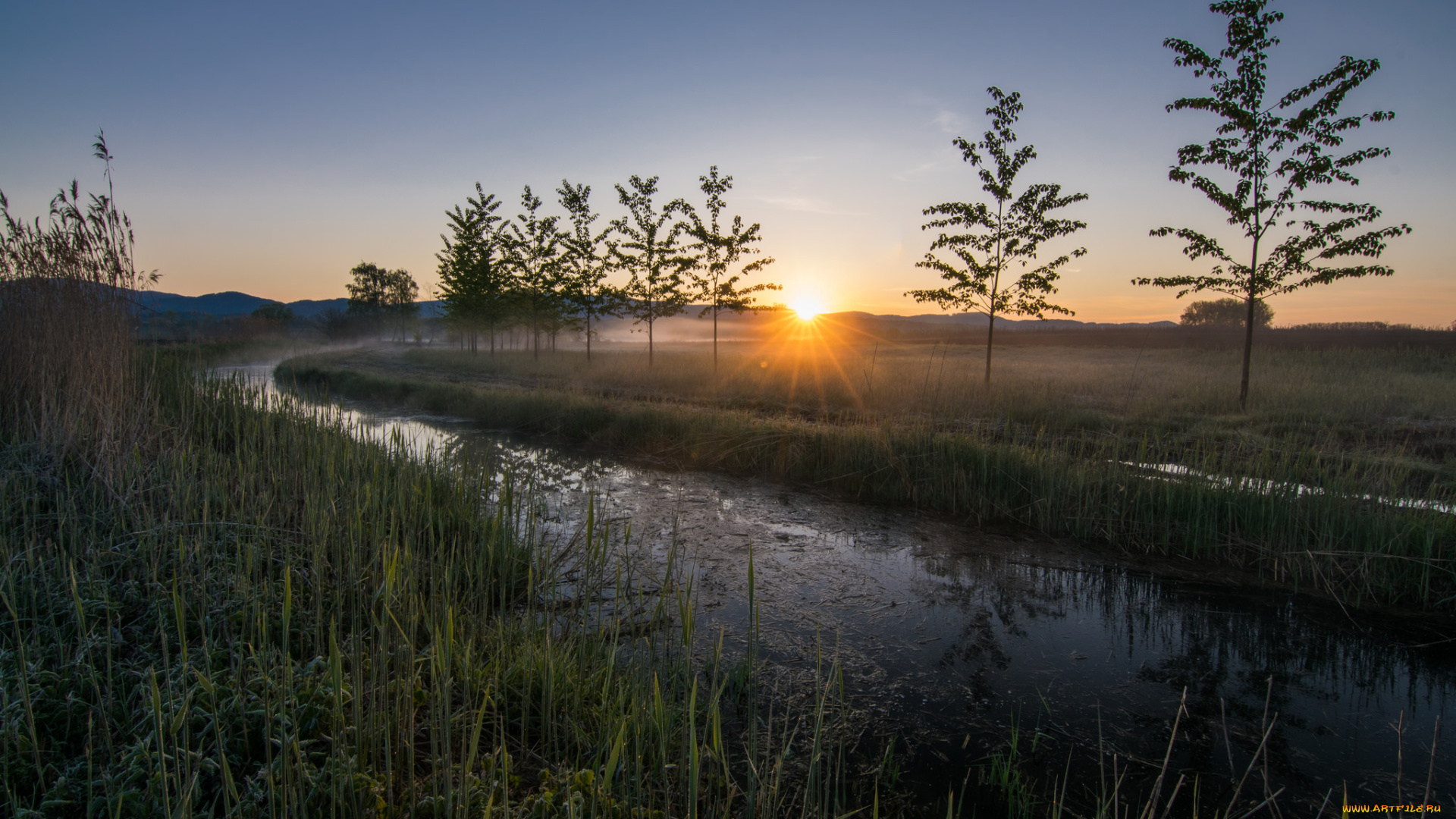 природа, реки, озера, река, лес