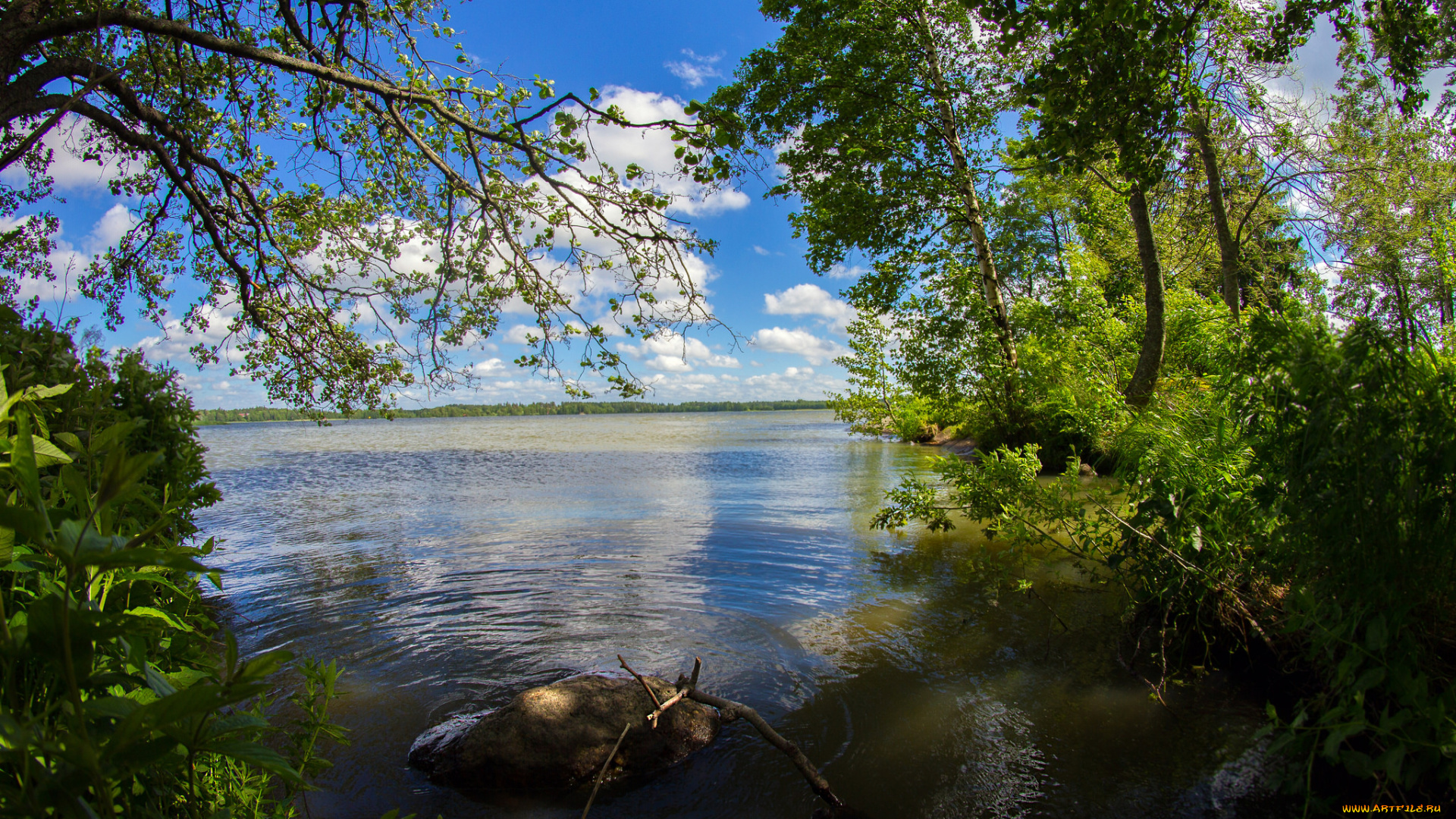 природа, реки, озера, река, лес